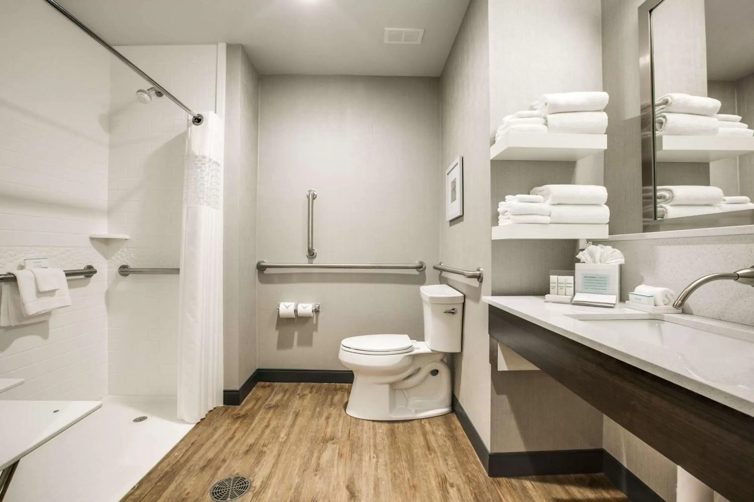 Bathroom in Hampton Inn & Suites Dallas/Ft. Worth Airport South