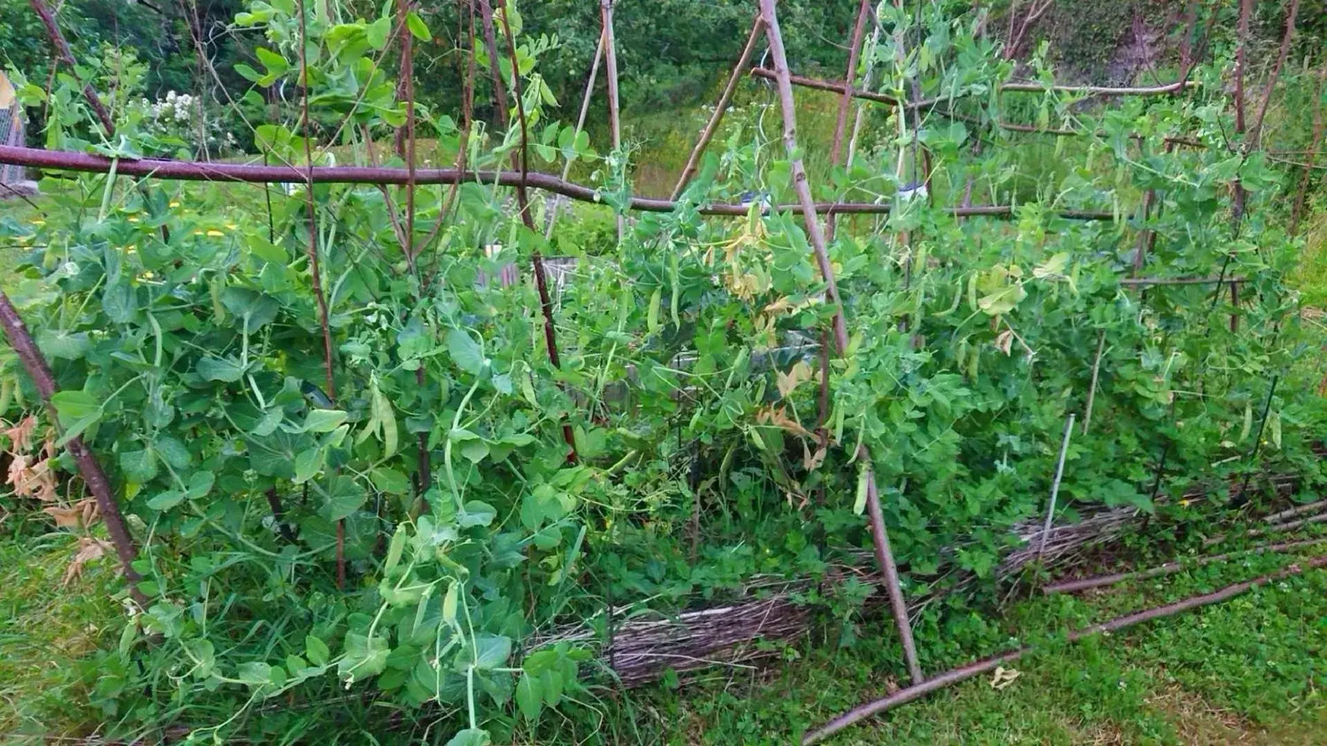 Garden in La Vallombreuse