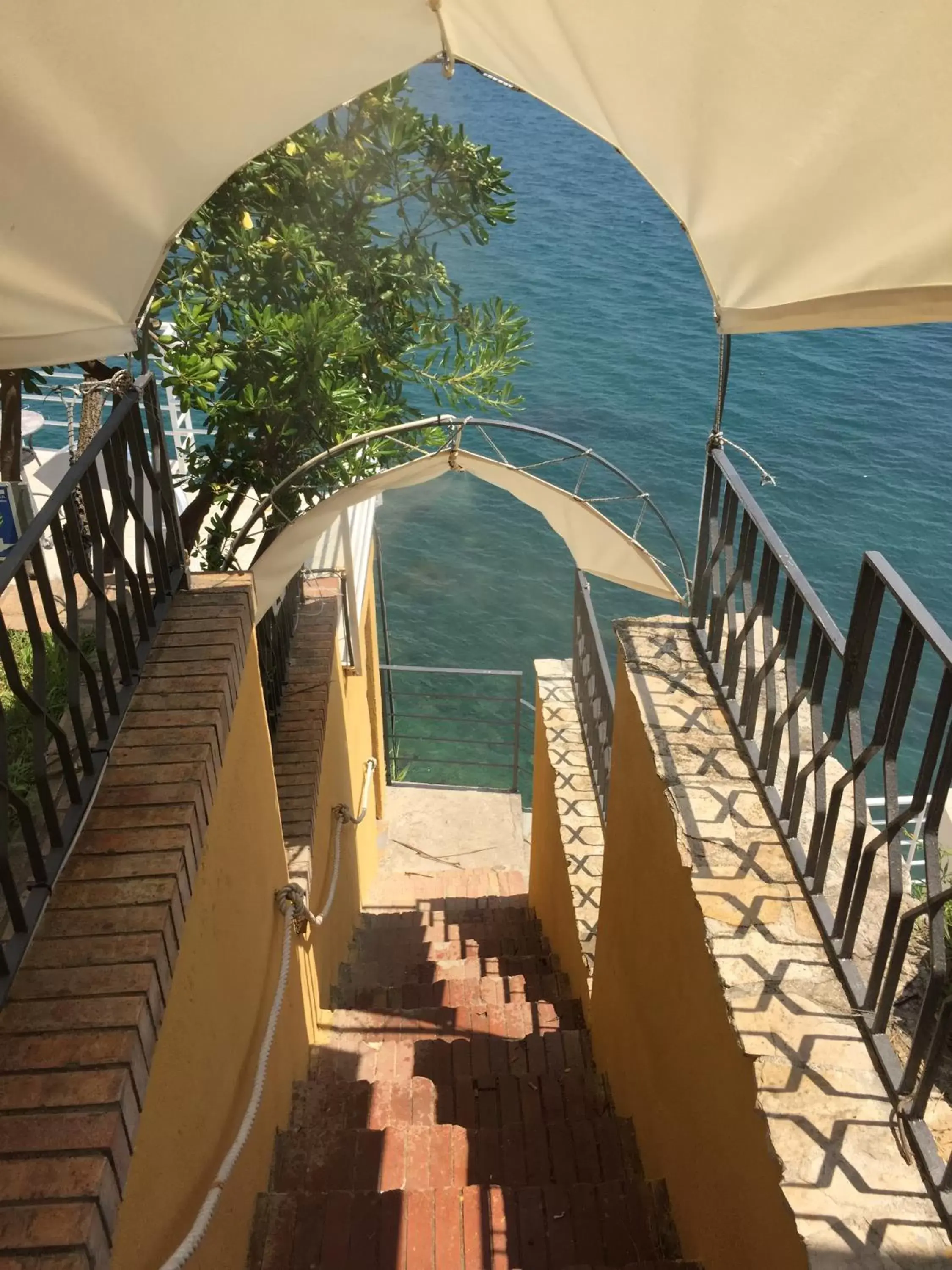 Sea view, Balcony/Terrace in Hotel La Lucertola