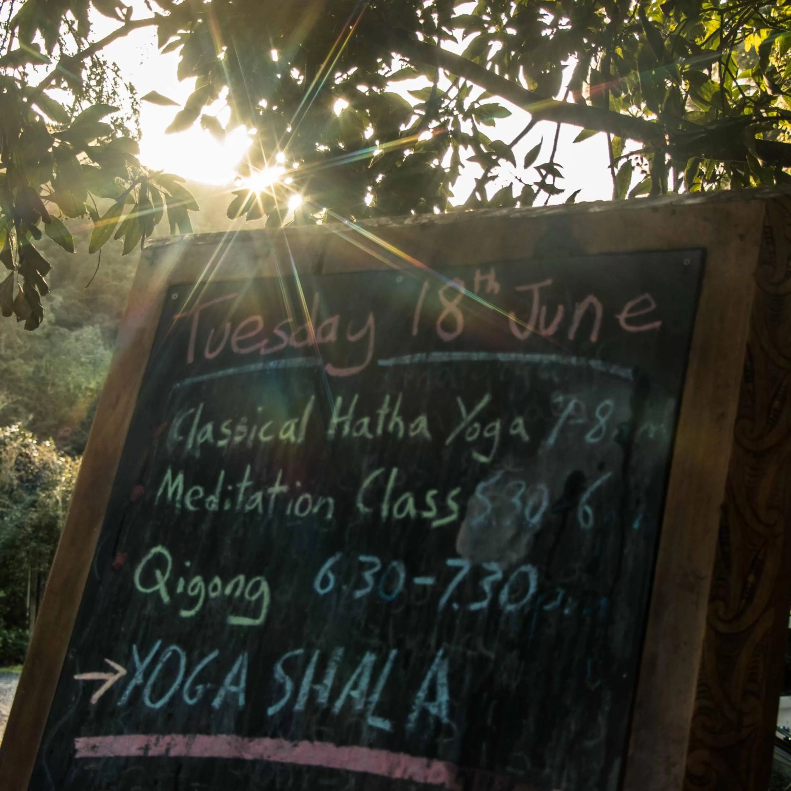 Activities in Kawai Purapura Yoga Retreat Centre