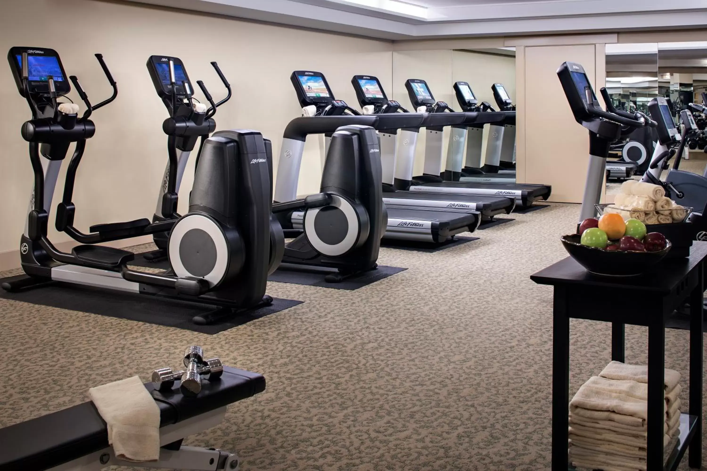 Fitness centre/facilities in The Lodge at Torrey Pines