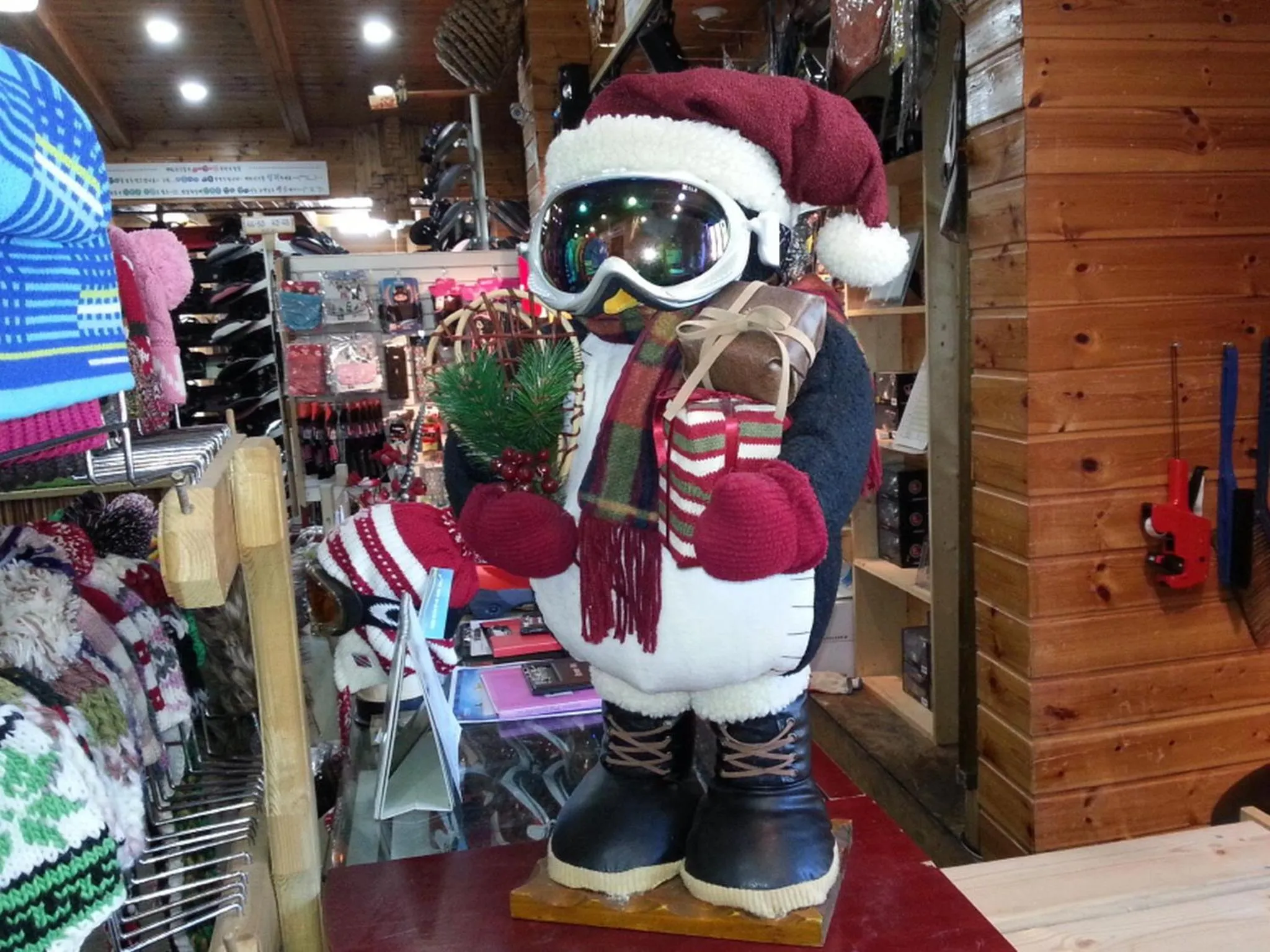 Skiing in White Cabin