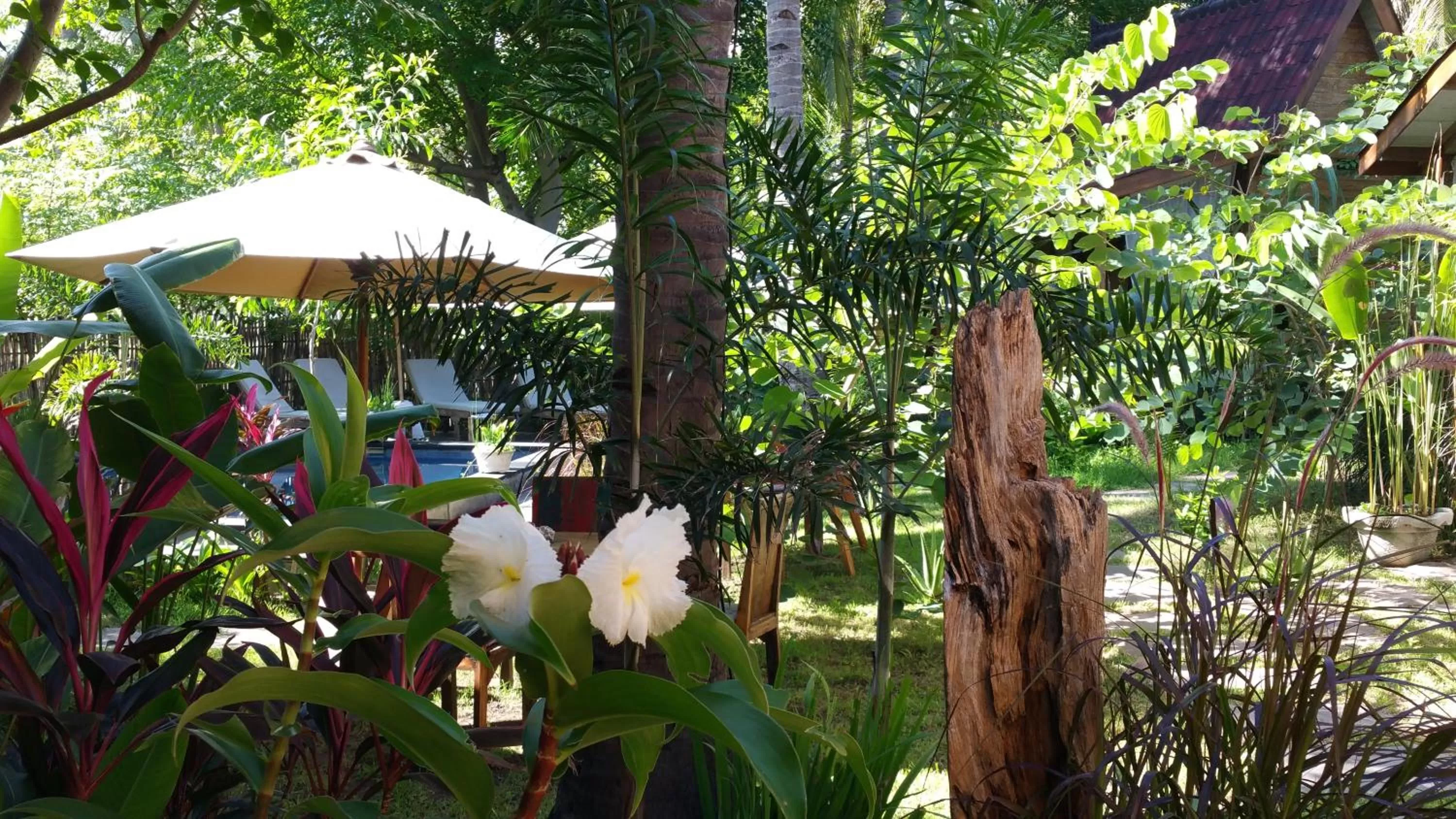 Garden in Villas Light House - Eco-Traditional Joglo