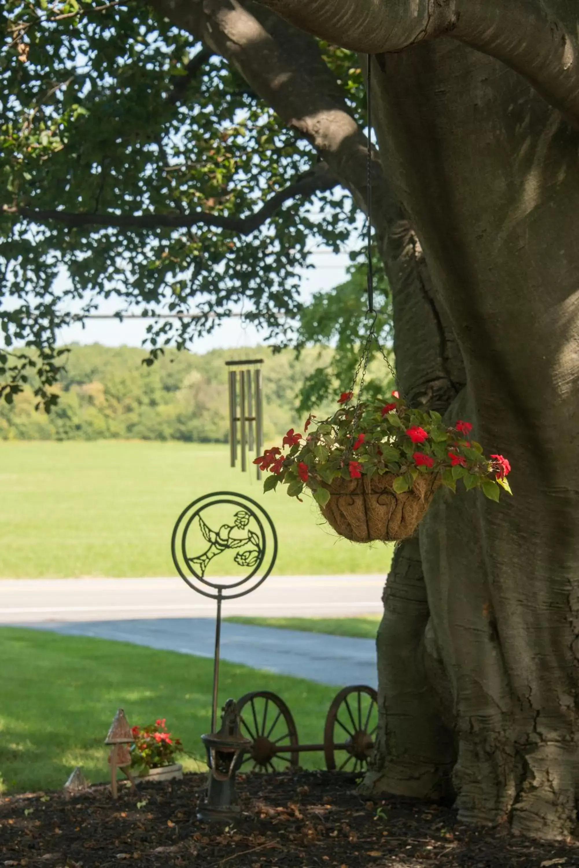 Garden view in Sutherland House Victorian Bed and Breakfast Garden view in Sutherland House Victorian Bed and Breakfast
