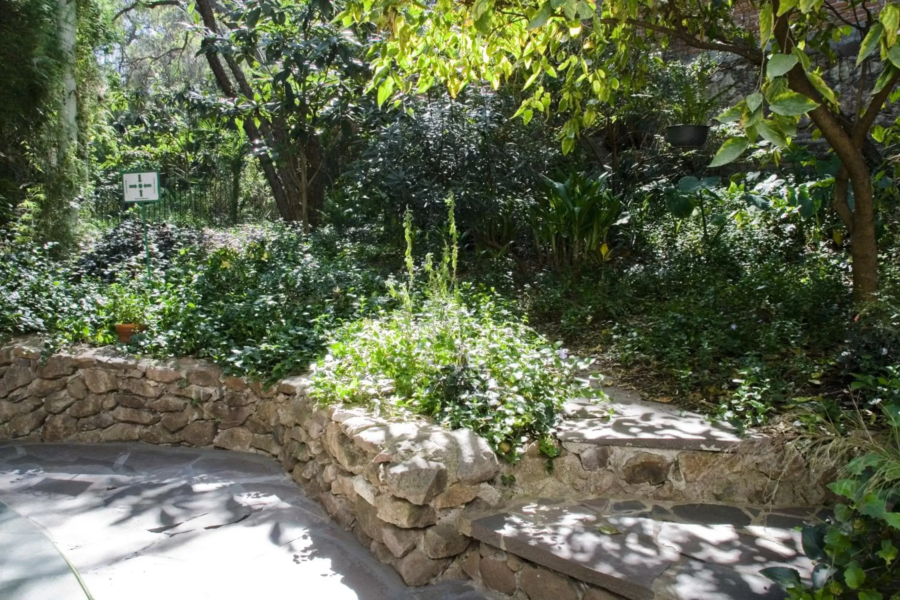 Garden in Casa Mision de San Miguel