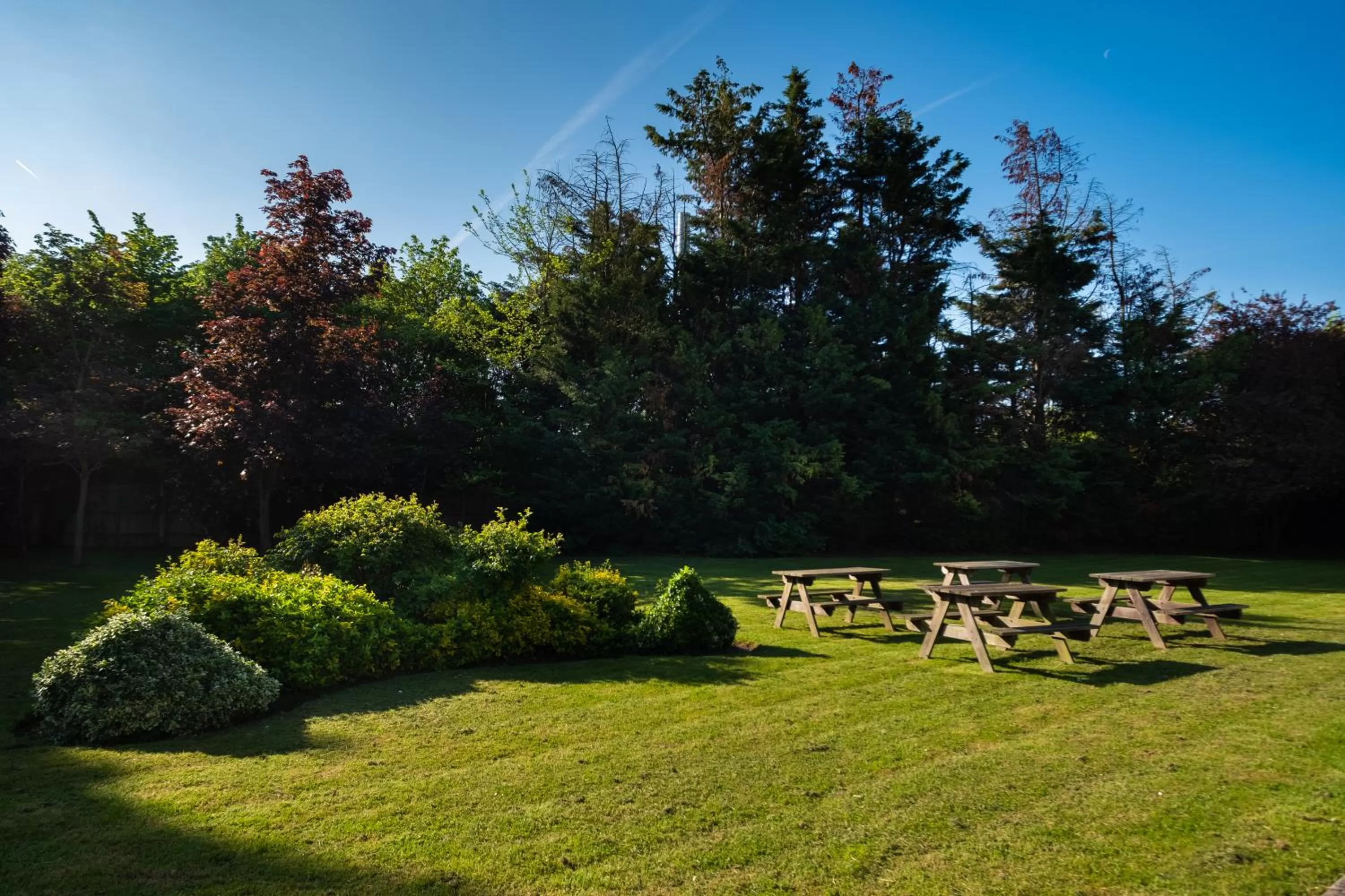 Natural landscape in Holiday Inn London-Bexley by IHG