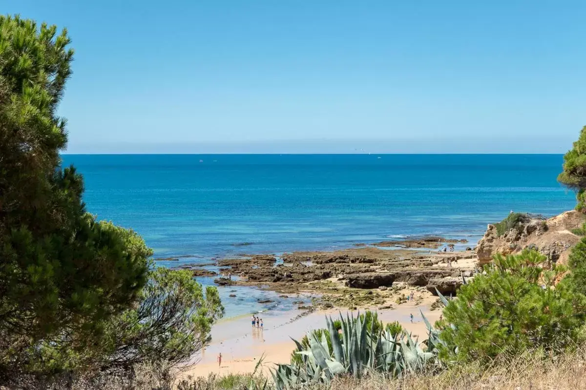 Natural landscape, Sea View in Apartamentos Do Parque