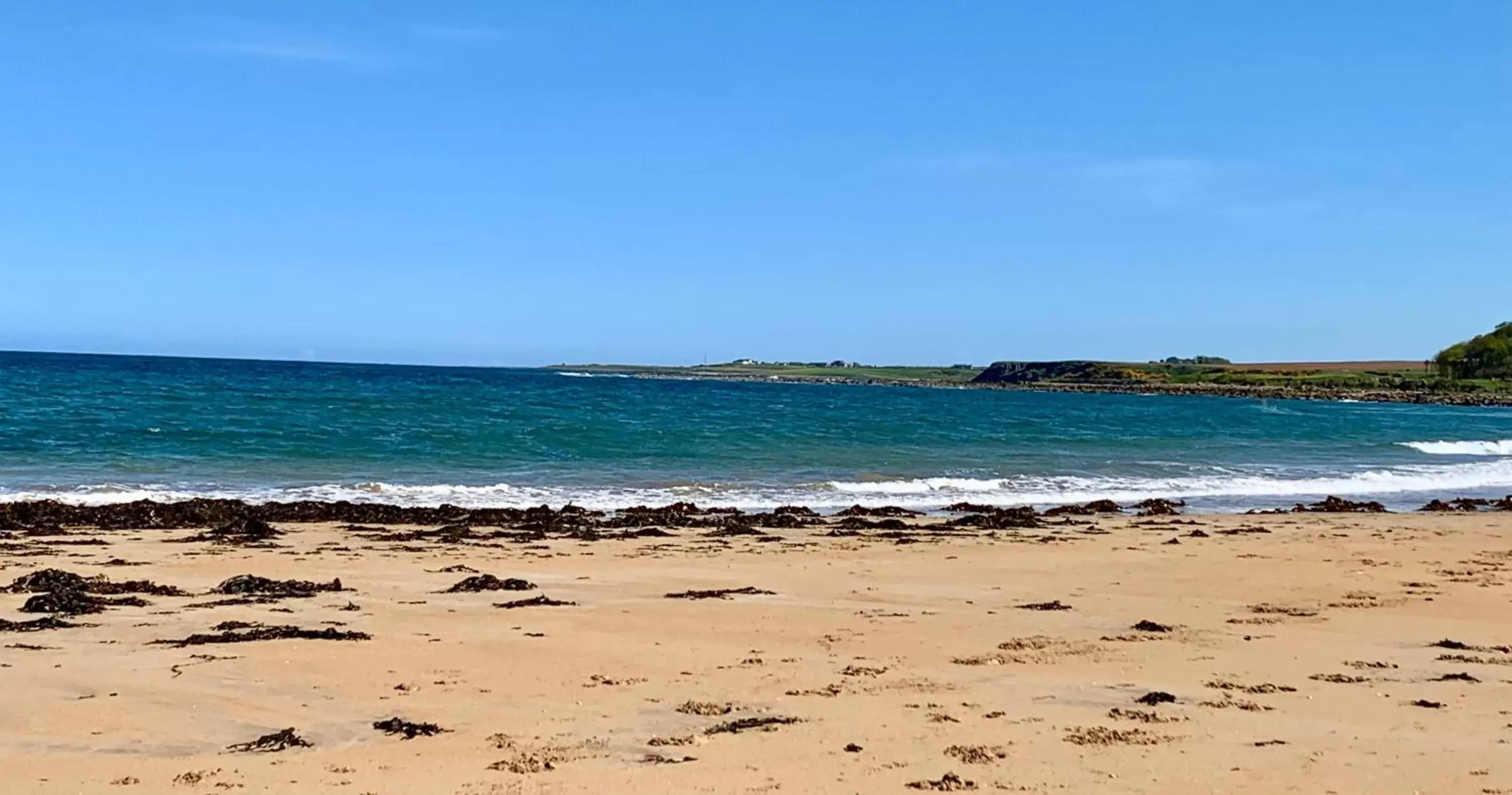 Beach in No12 Bed and Breakfast, St Andrews