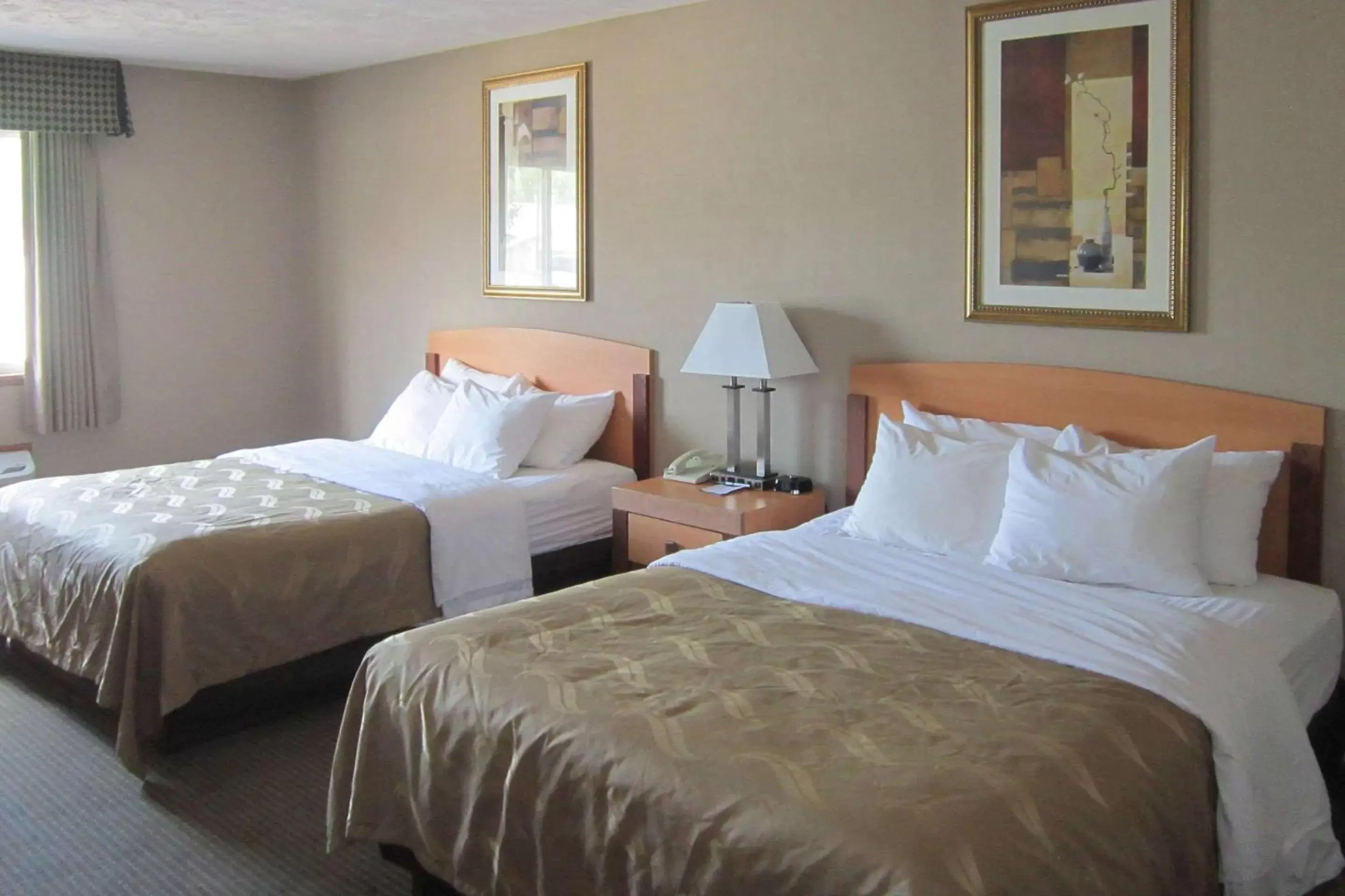 Photo of the whole room, Bed in Quality Inn Nashville – Bloomington