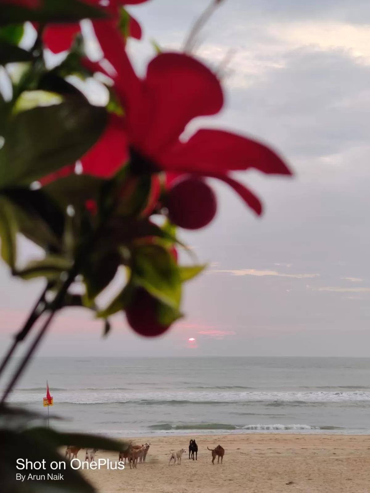 Beach in Happy Shack Beach And Wooden Huts