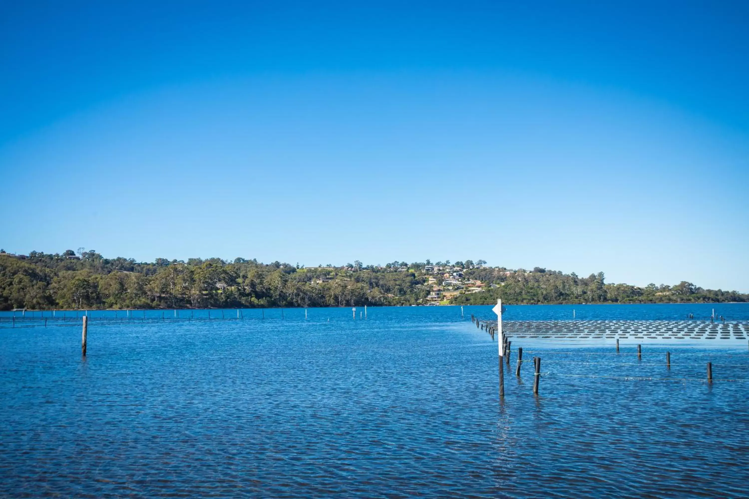 Natural landscape in Top of the Lake Holiday Units