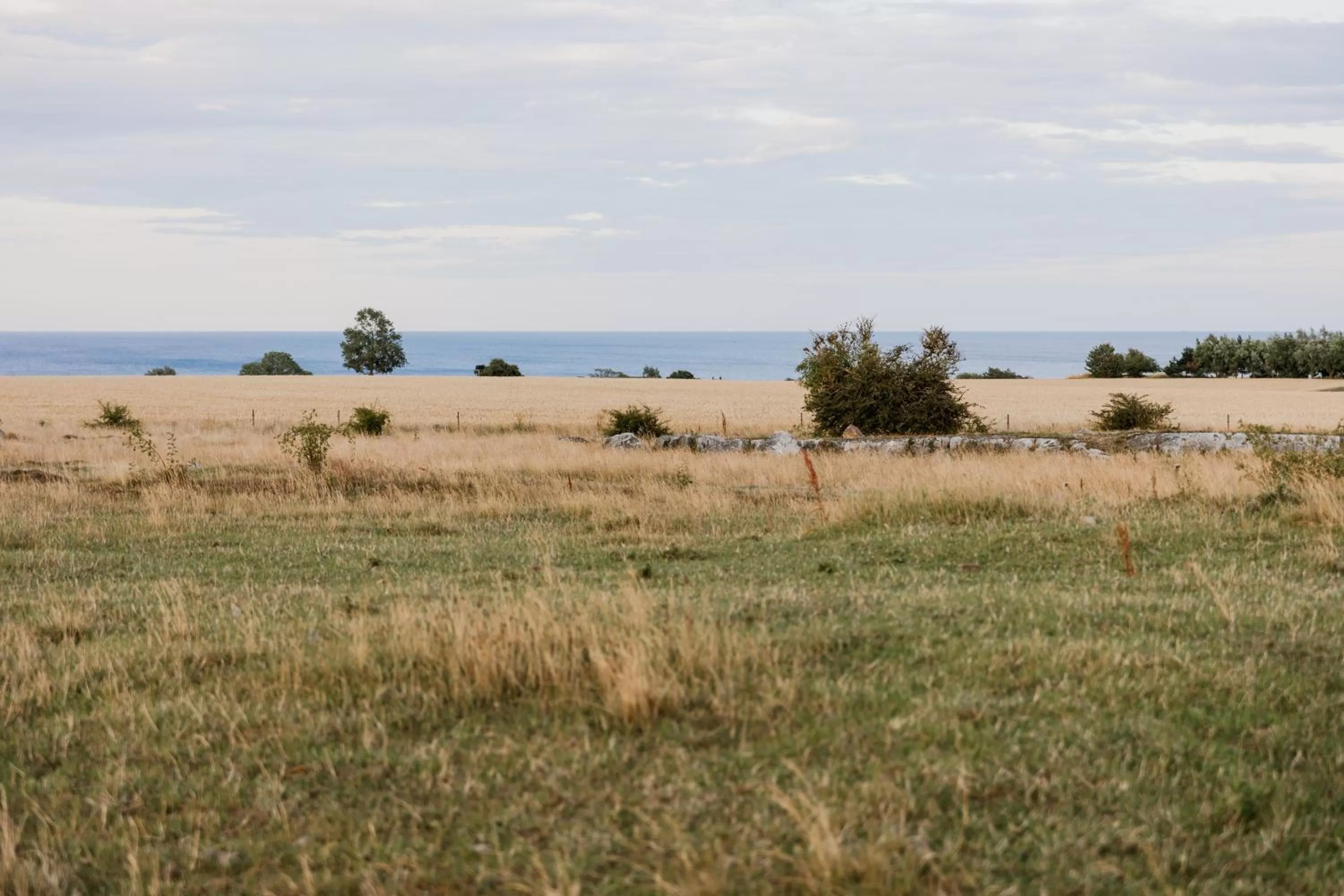 Property building in Sköllengården