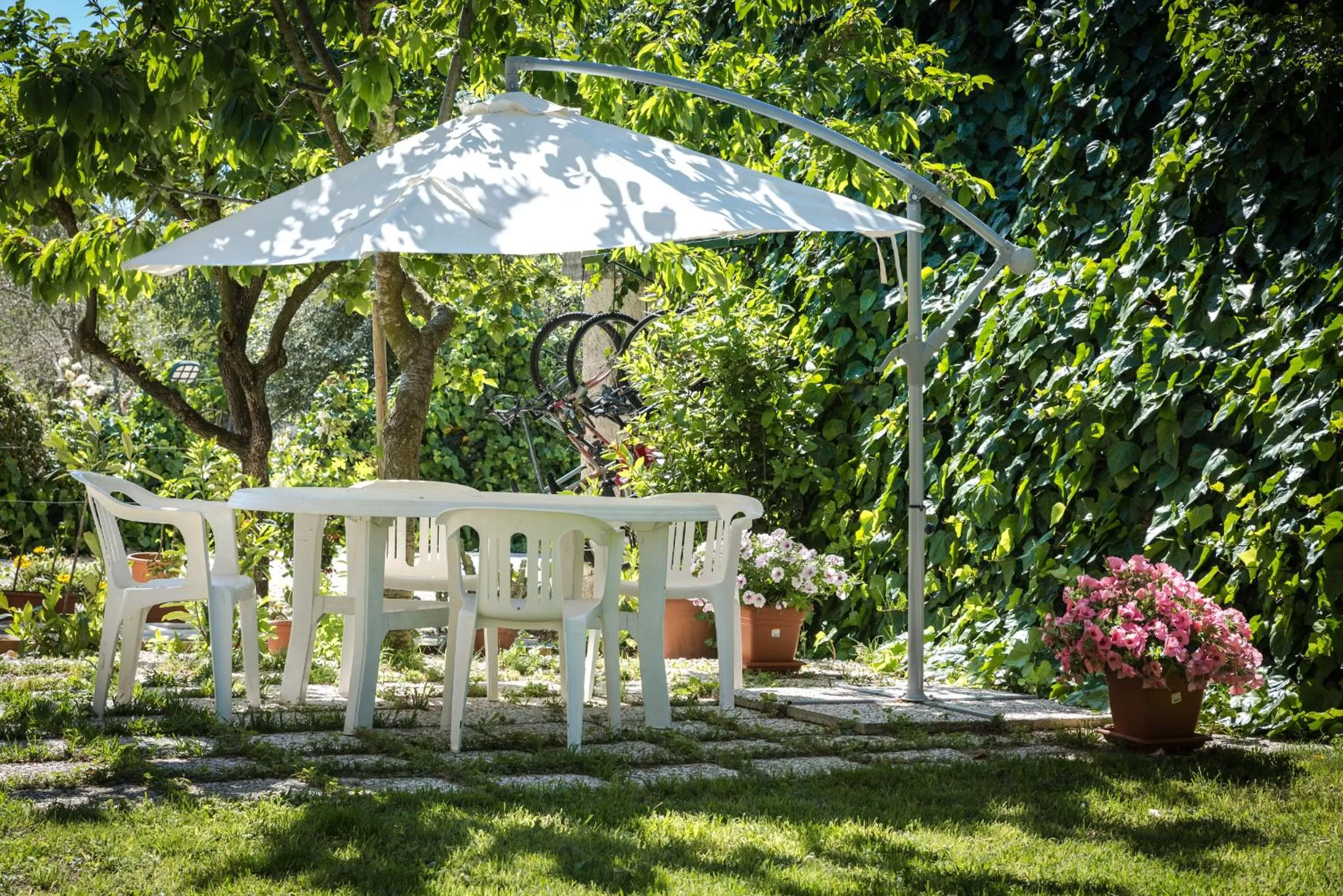 Garden in B&B Il Girasole