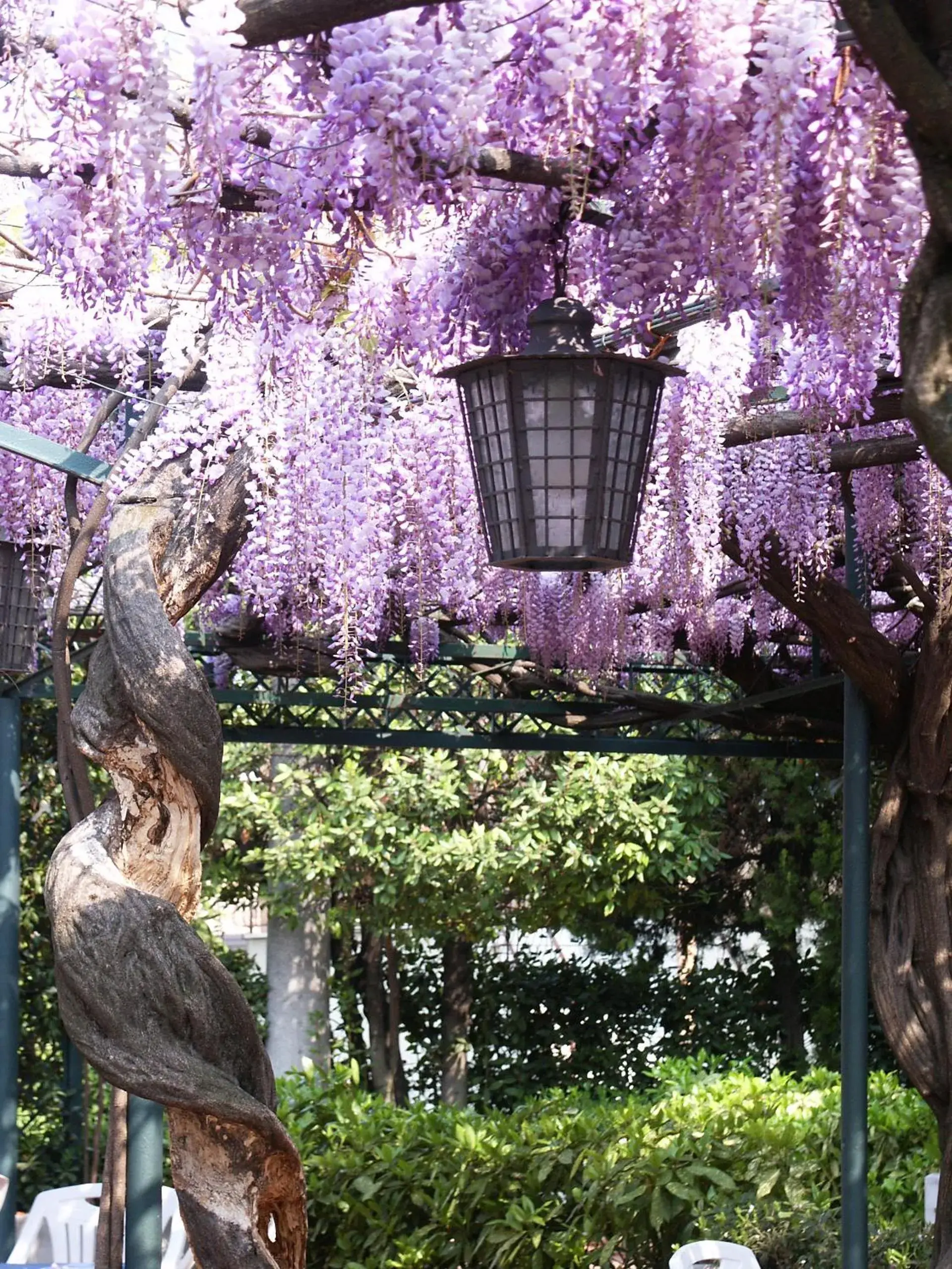 Garden in Albergo Ristorante Papa