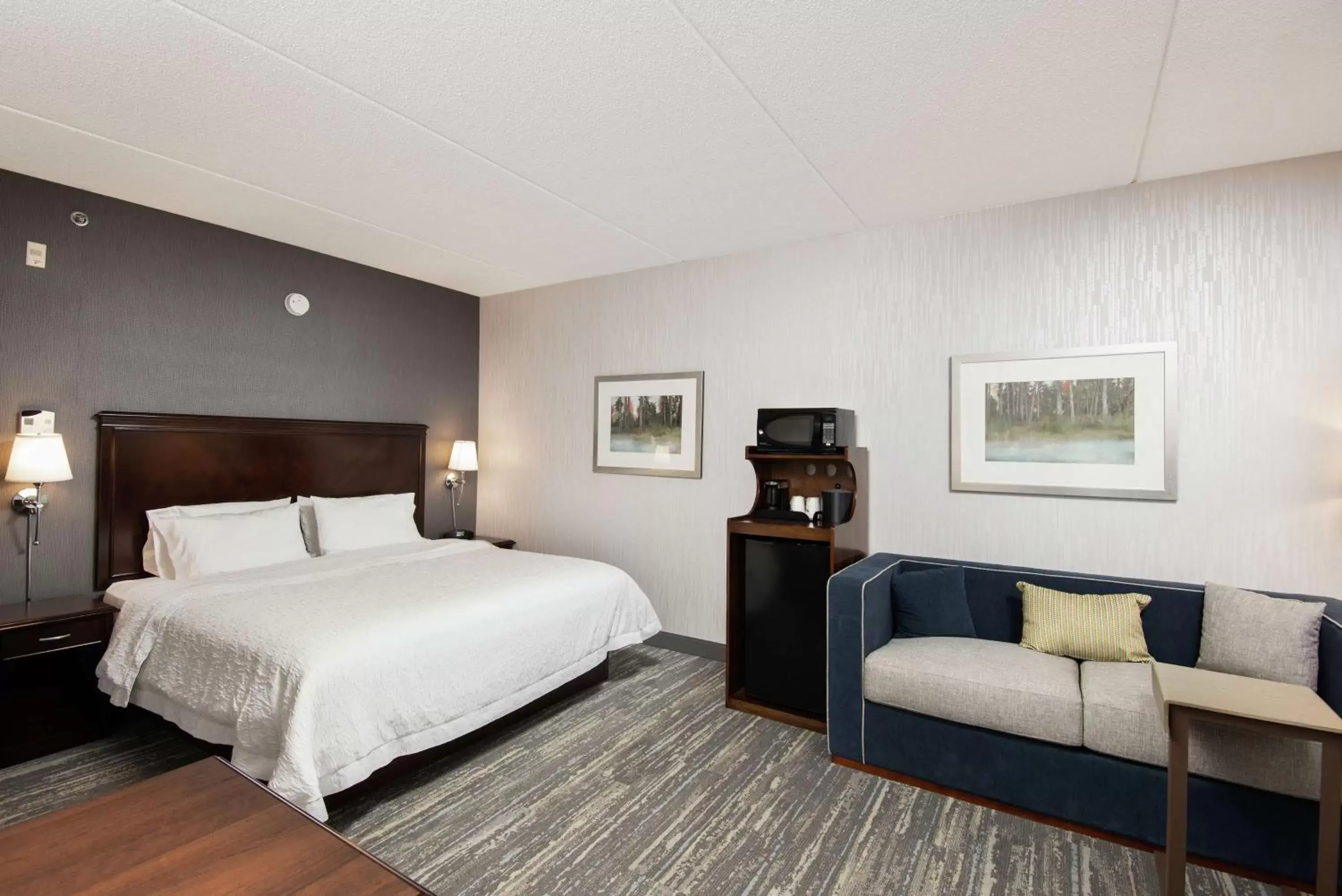 Bedroom in Hampton Inn & Suites by Hilton Barrie