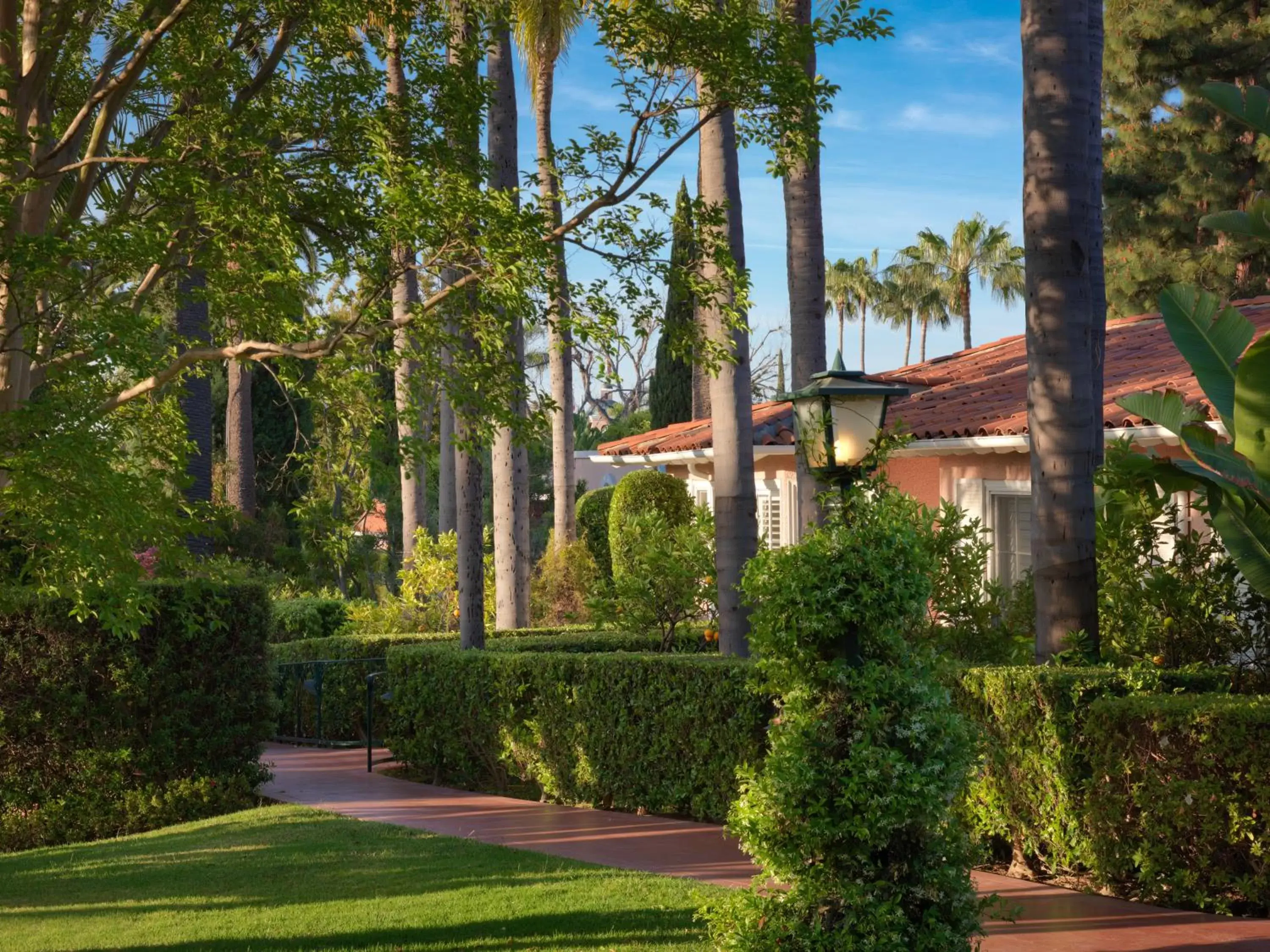 Garden, Property Building in The Beverly Hills Hotel - Dorchester Collection
