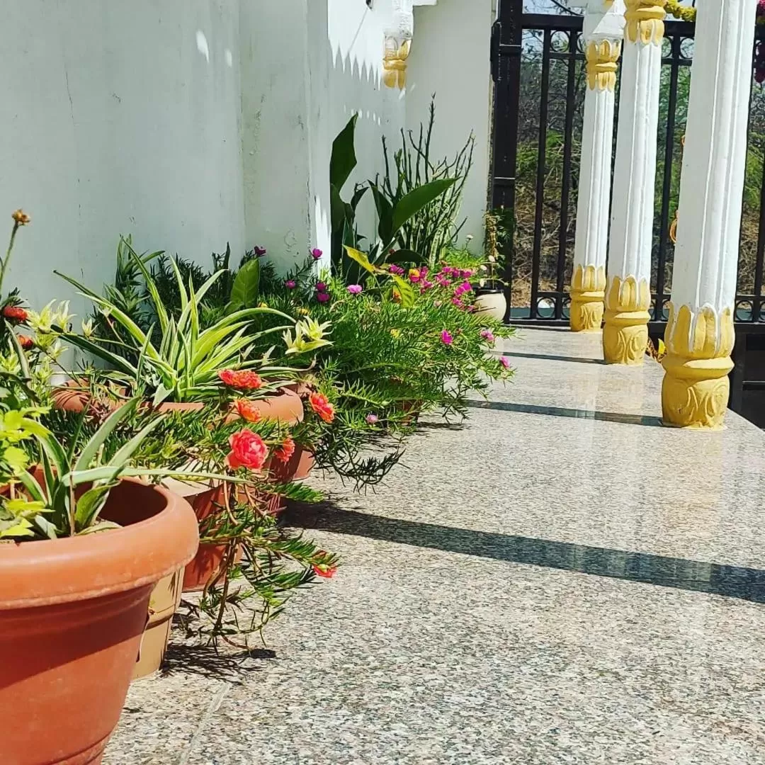 Patio in Royal Heritage Haveli Udaipur