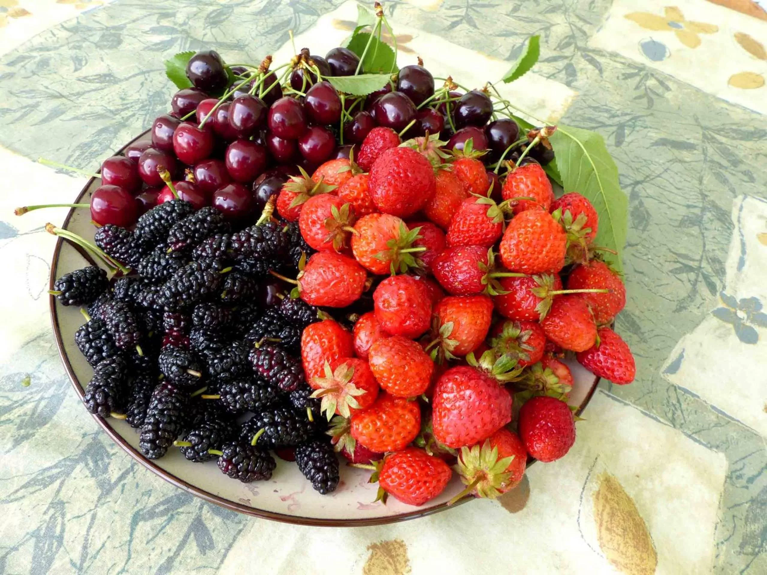 Meals in Green Stone Boutique Hotel