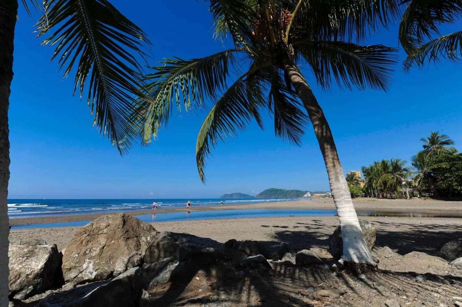 Natural landscape, Beach in Beach Break Resort