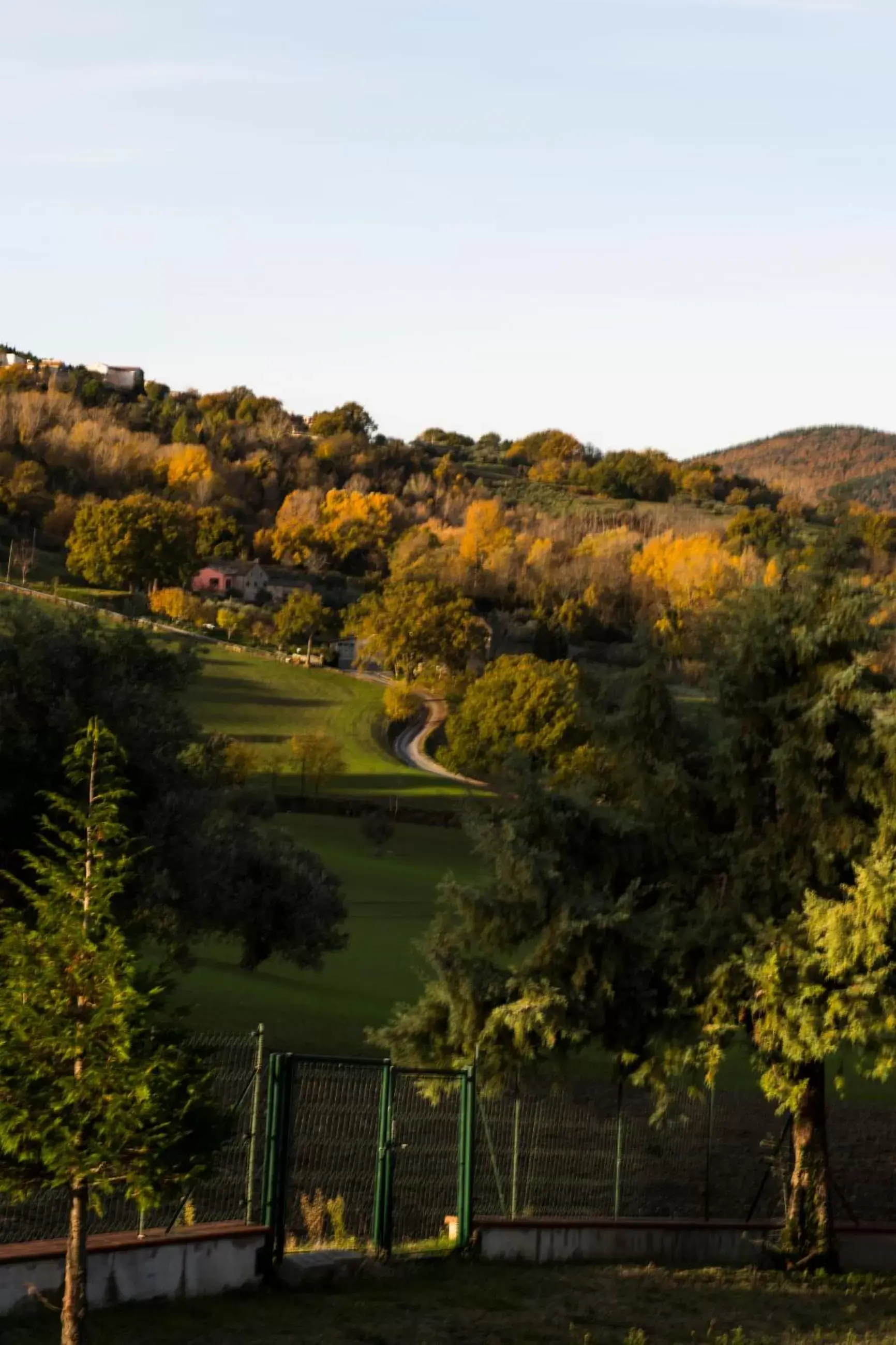 View (from property/room) in Amor di Lavanda