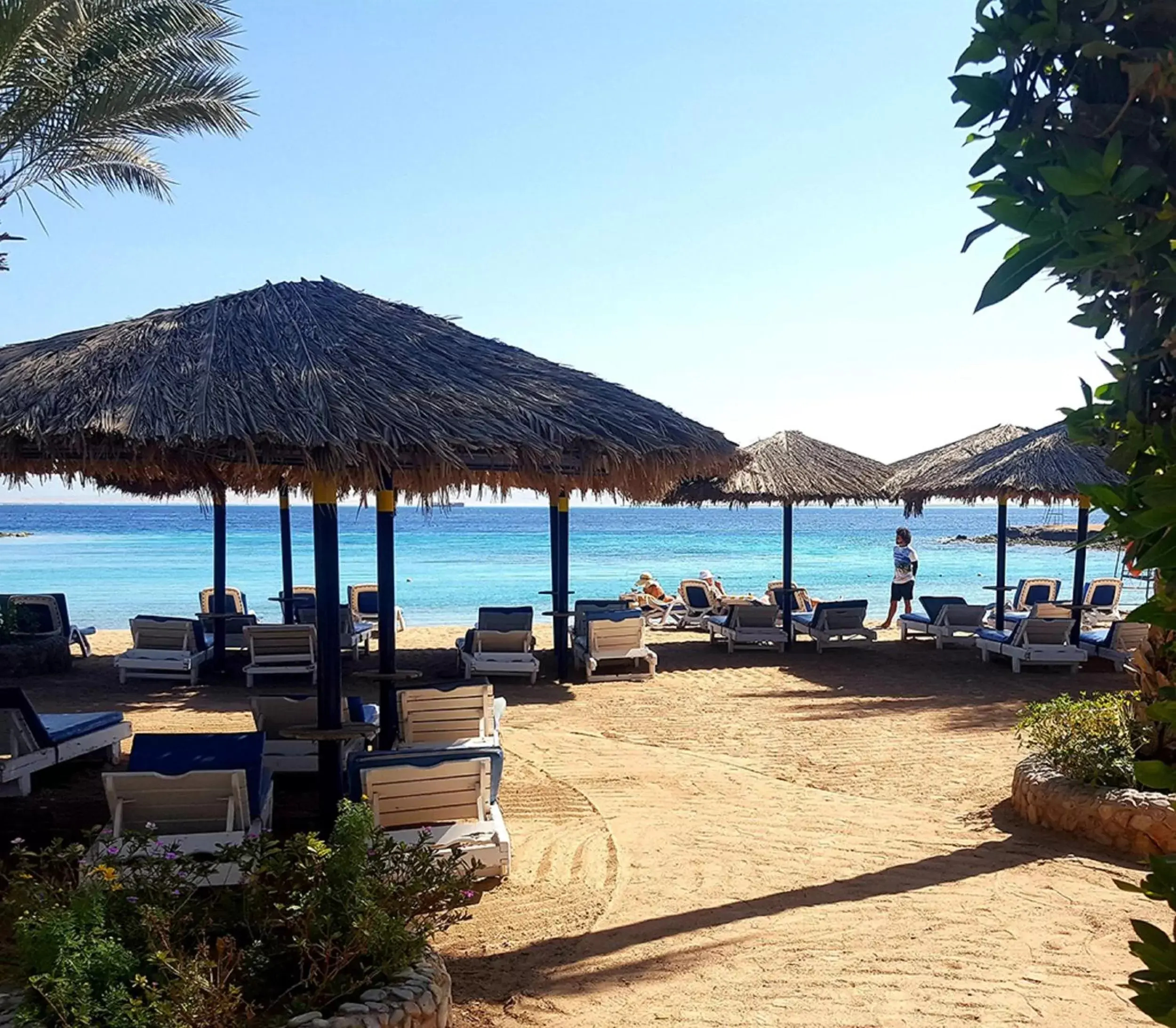Beach in ZYA Regina Resort and Aqua Park Hurghada