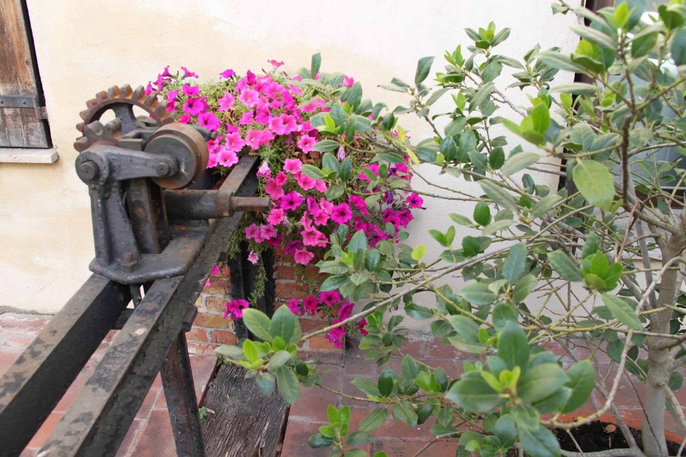 Decorative detail in La Vecchia Cartiera