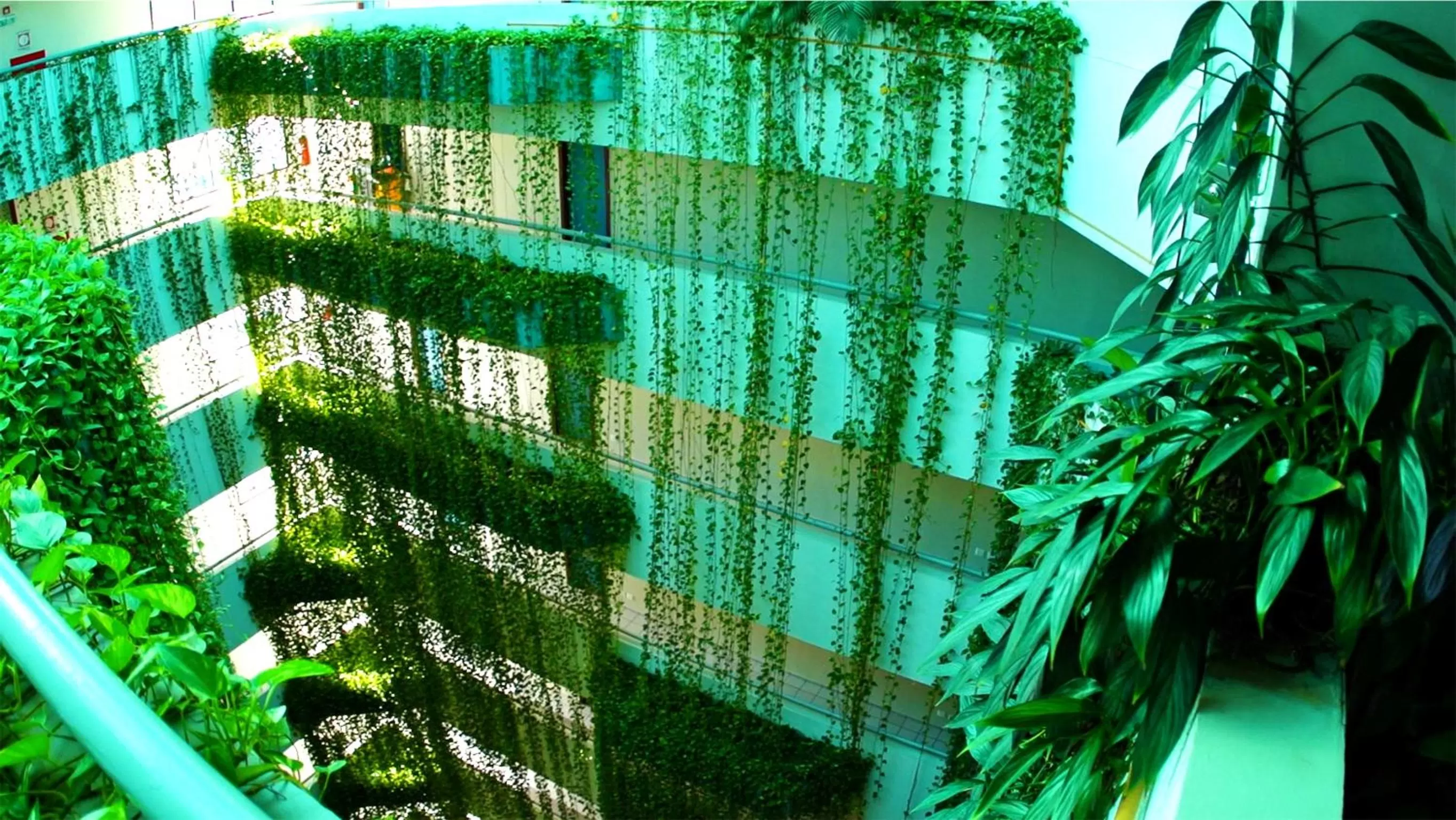 Decorative detail in Littoral Tambaú Flat