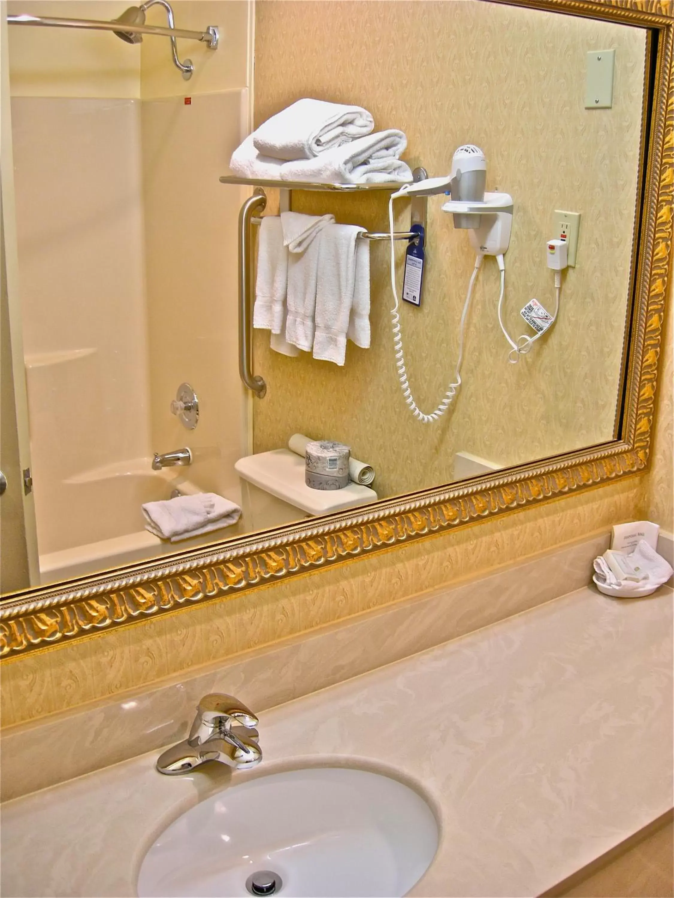 Shower, Bathroom in Best Western Inn & Suites