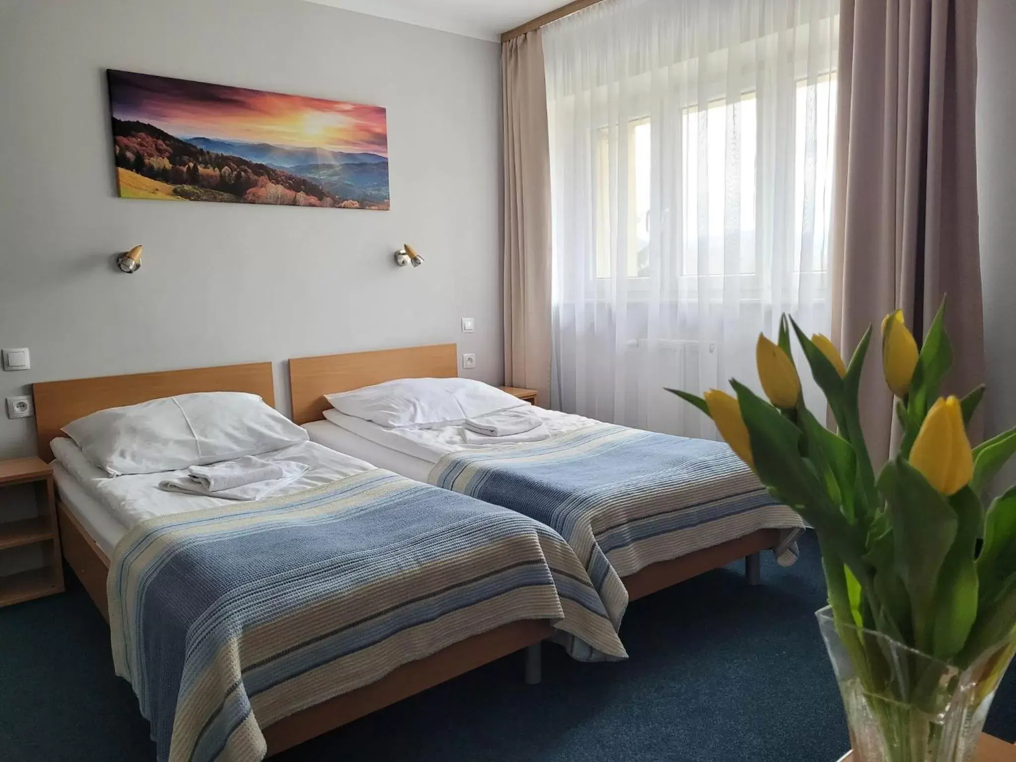 Twin Room in Hotel *** NAT Wisła Twin Room in Hotel *** NAT Wisła