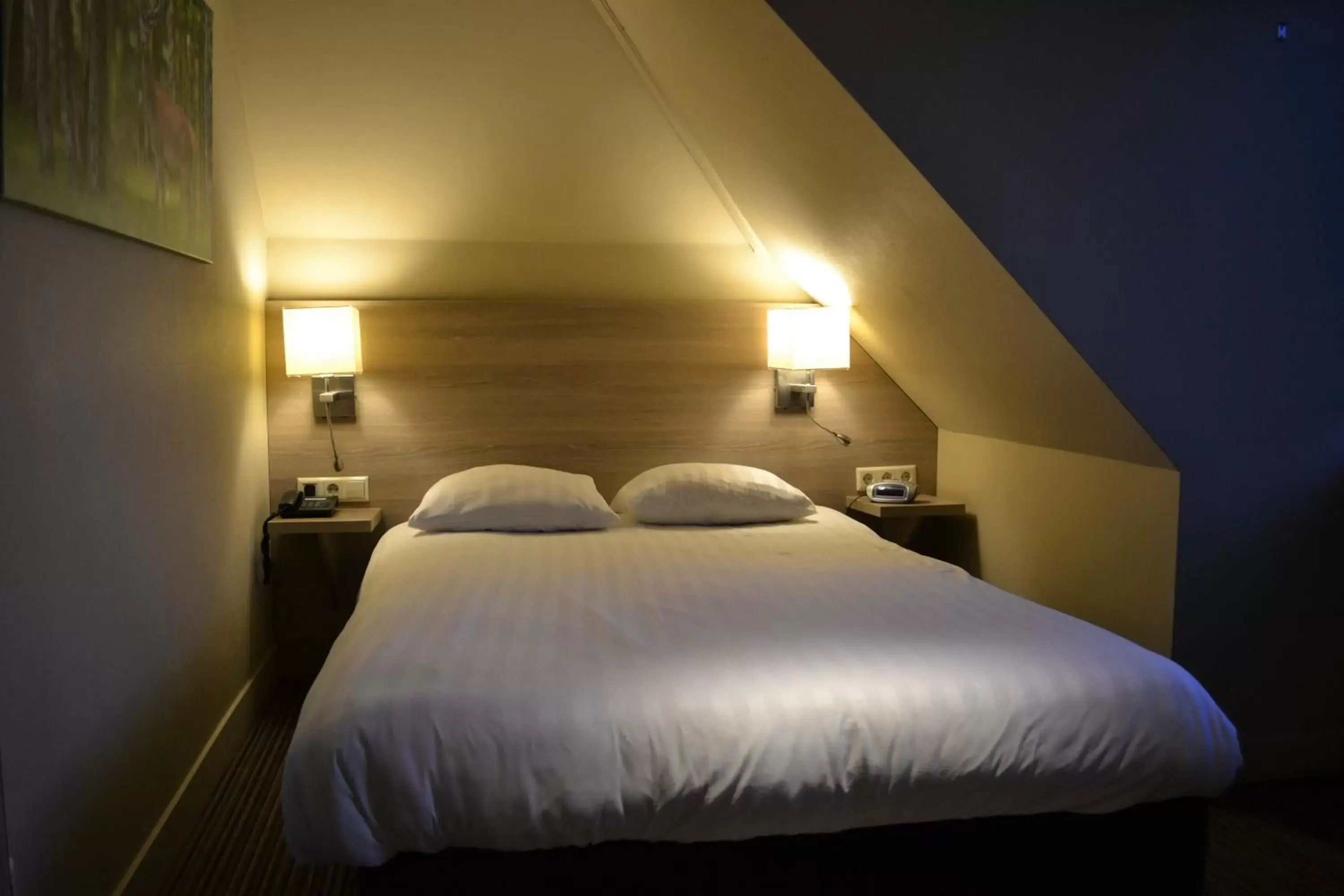 Small Double Room in Fletcher Hotel Het Veluwse Bos