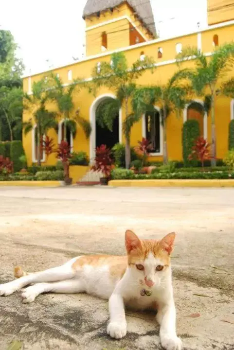 Riad Hua Hin Riad Hua Hin