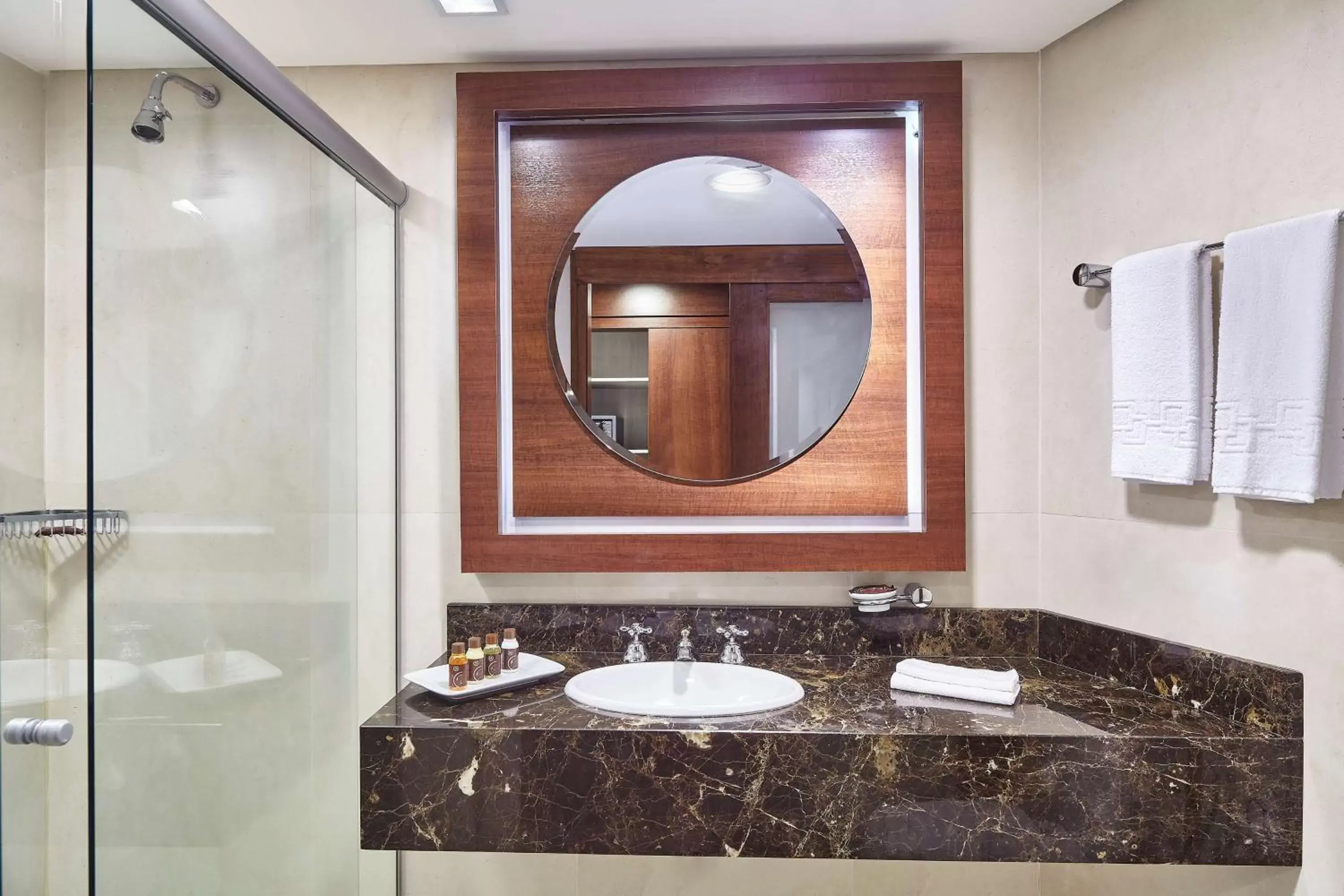 Bathroom in Hilton Porto Alegre, Brazil