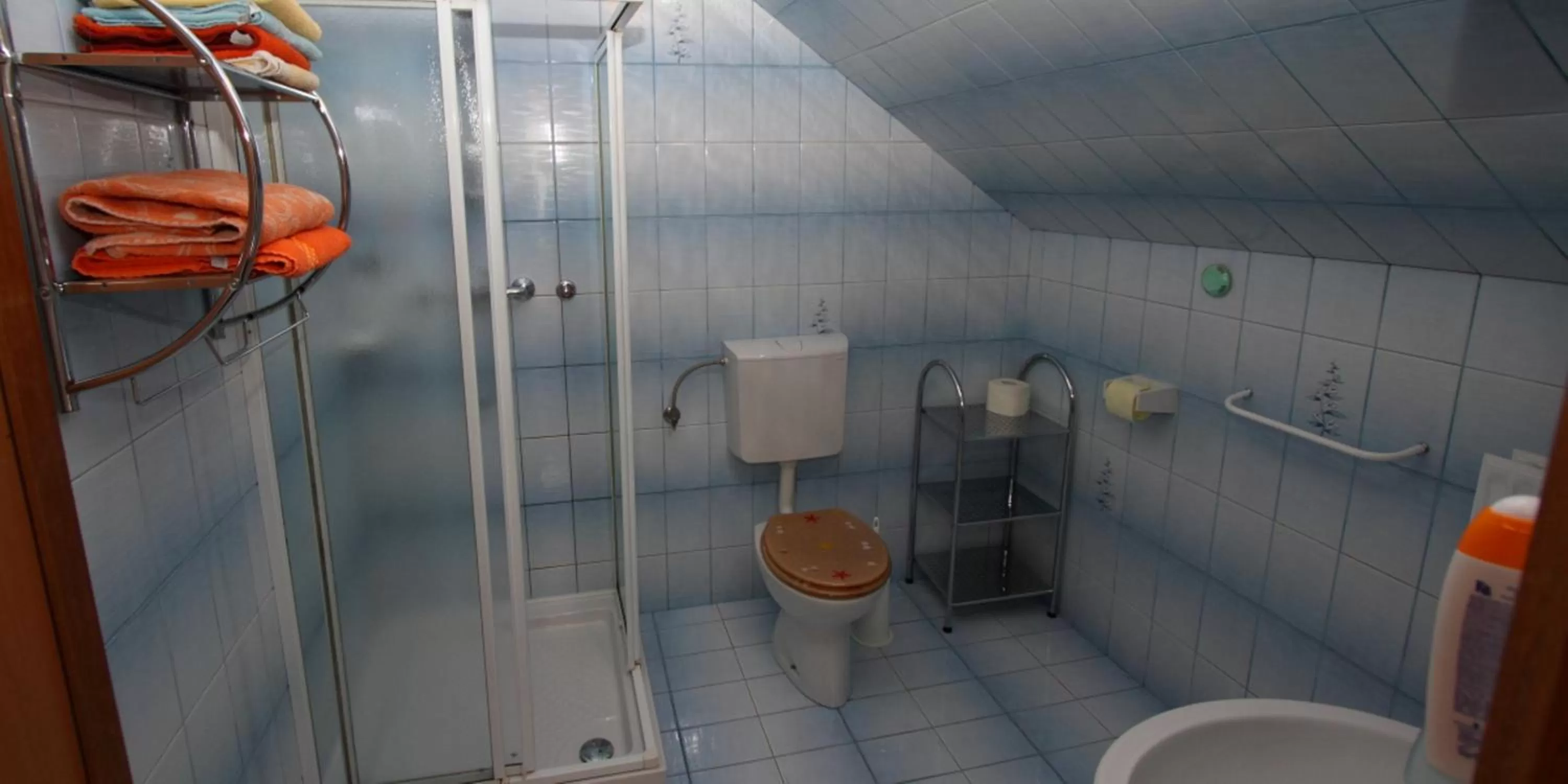 Bathroom in Rooms & Apartments Jana