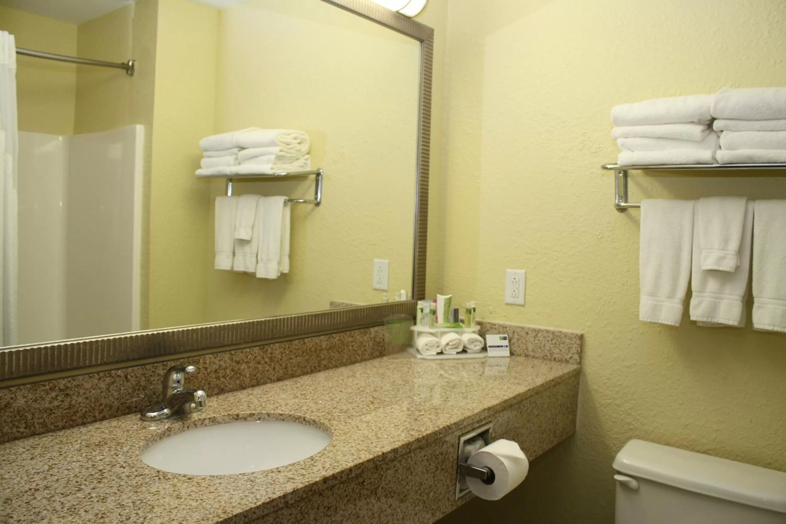 Bathroom in Holiday Inn Express Winfield - Teays Valley by IHG