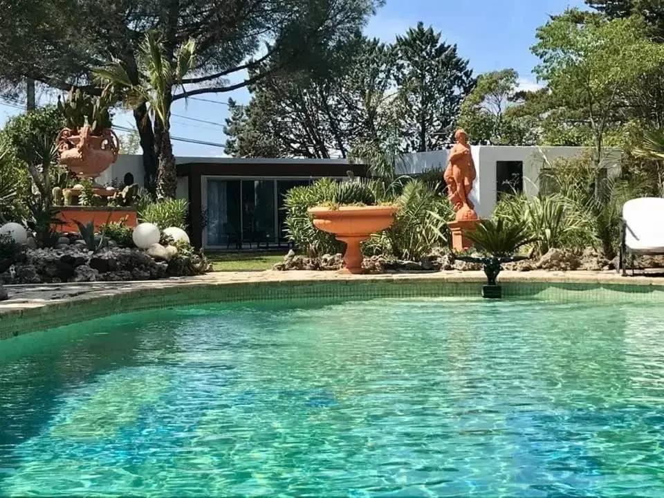 Swimming Pool in La cactée singulière