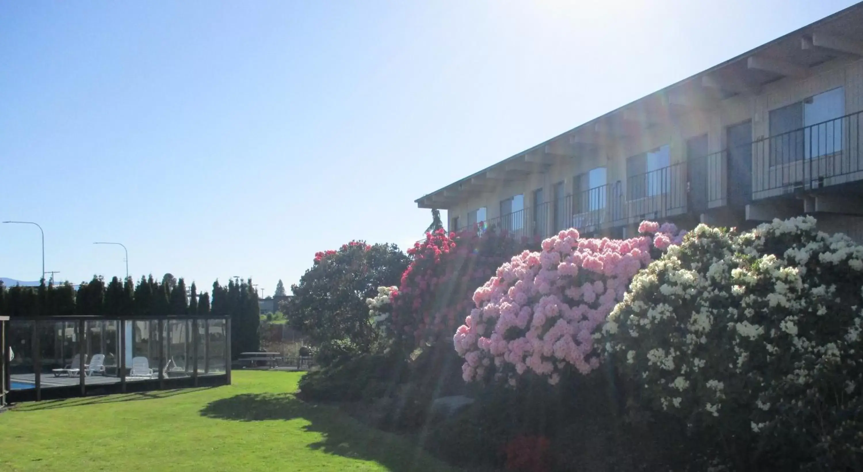 Garden, Property Building in Cocusa Motel