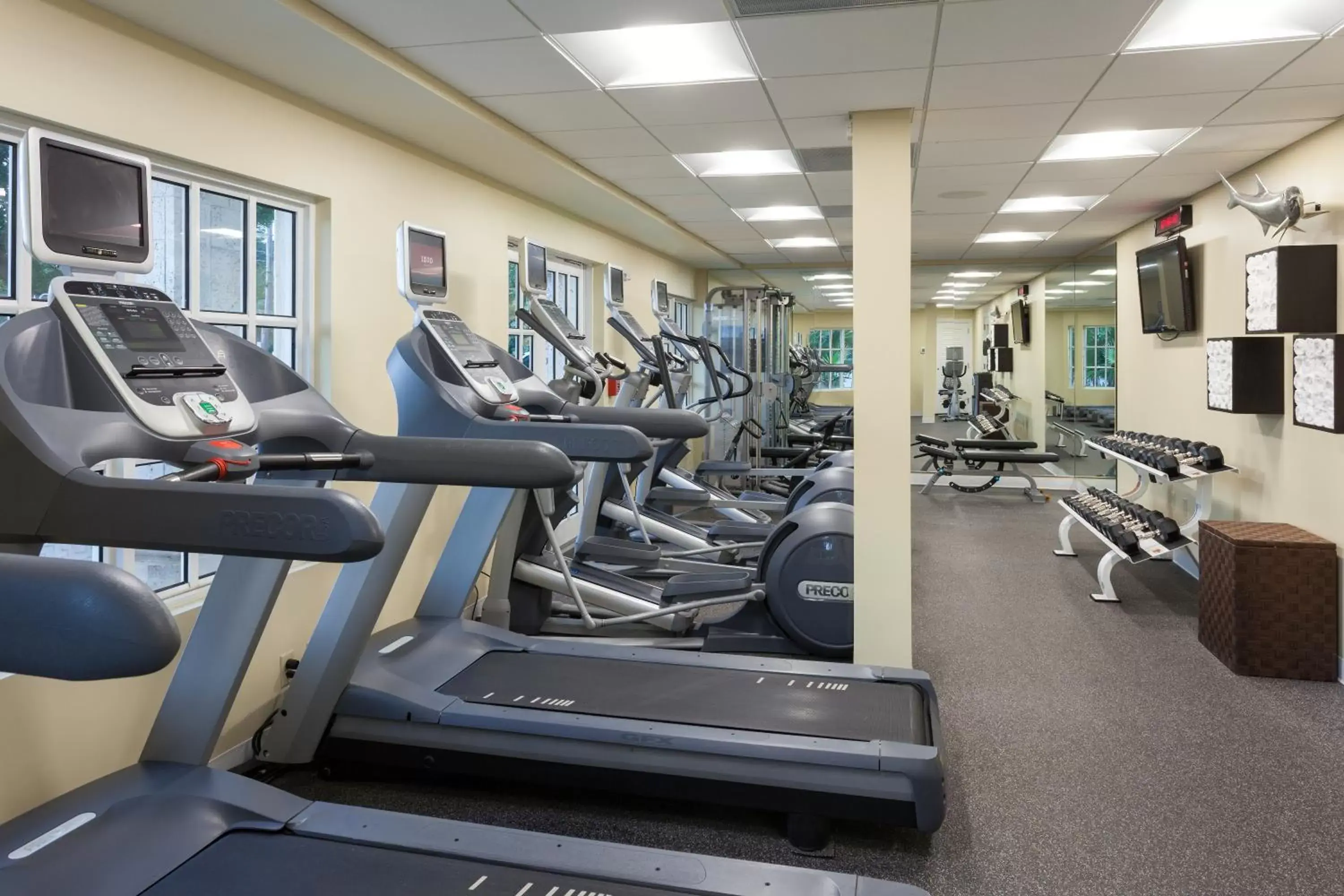Fitness centre/facilities, Fitness Center/Facilities in Reefhouse Resort and Marina
