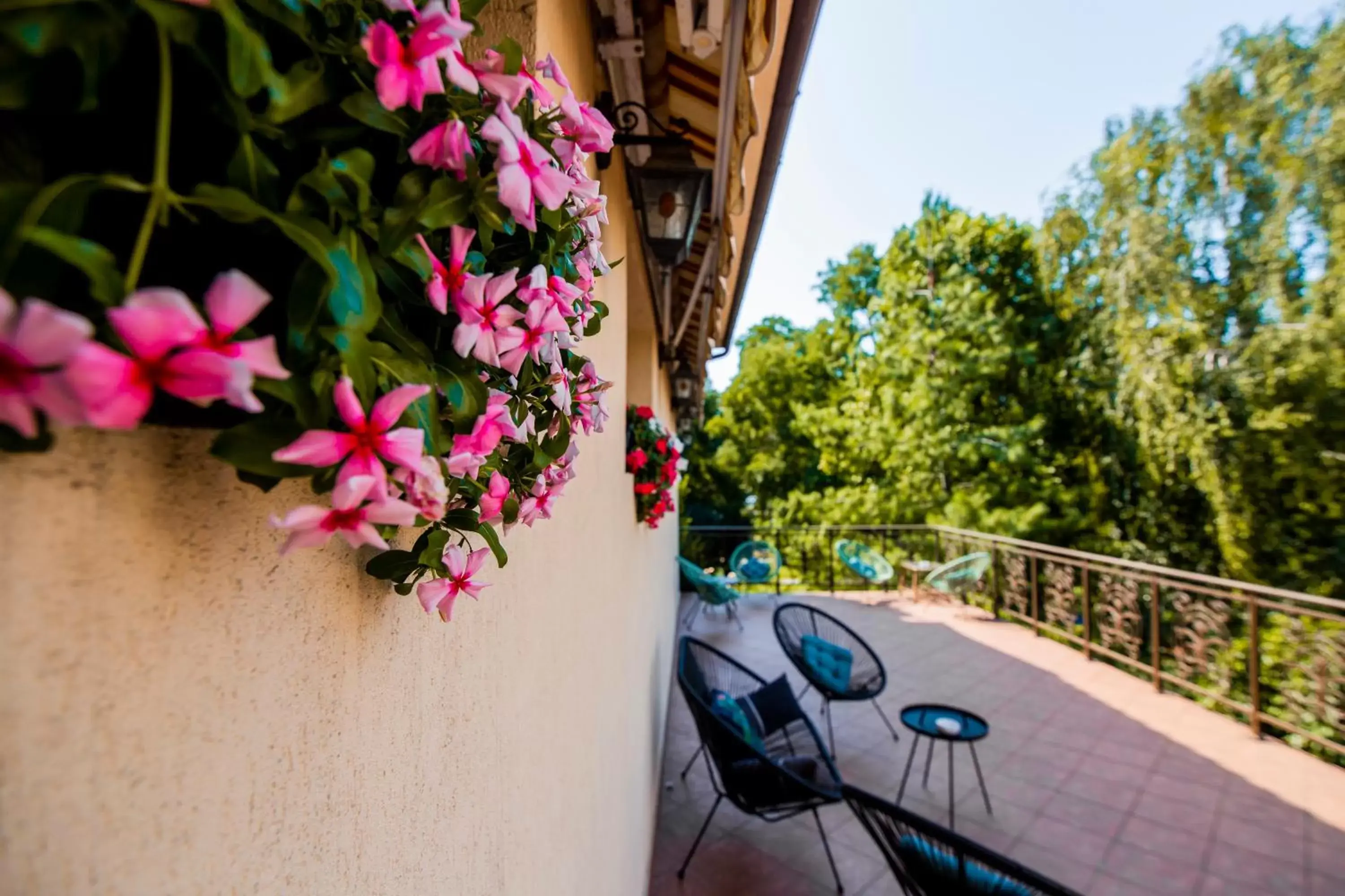 Balcony/Terrace in Hotel Golden House