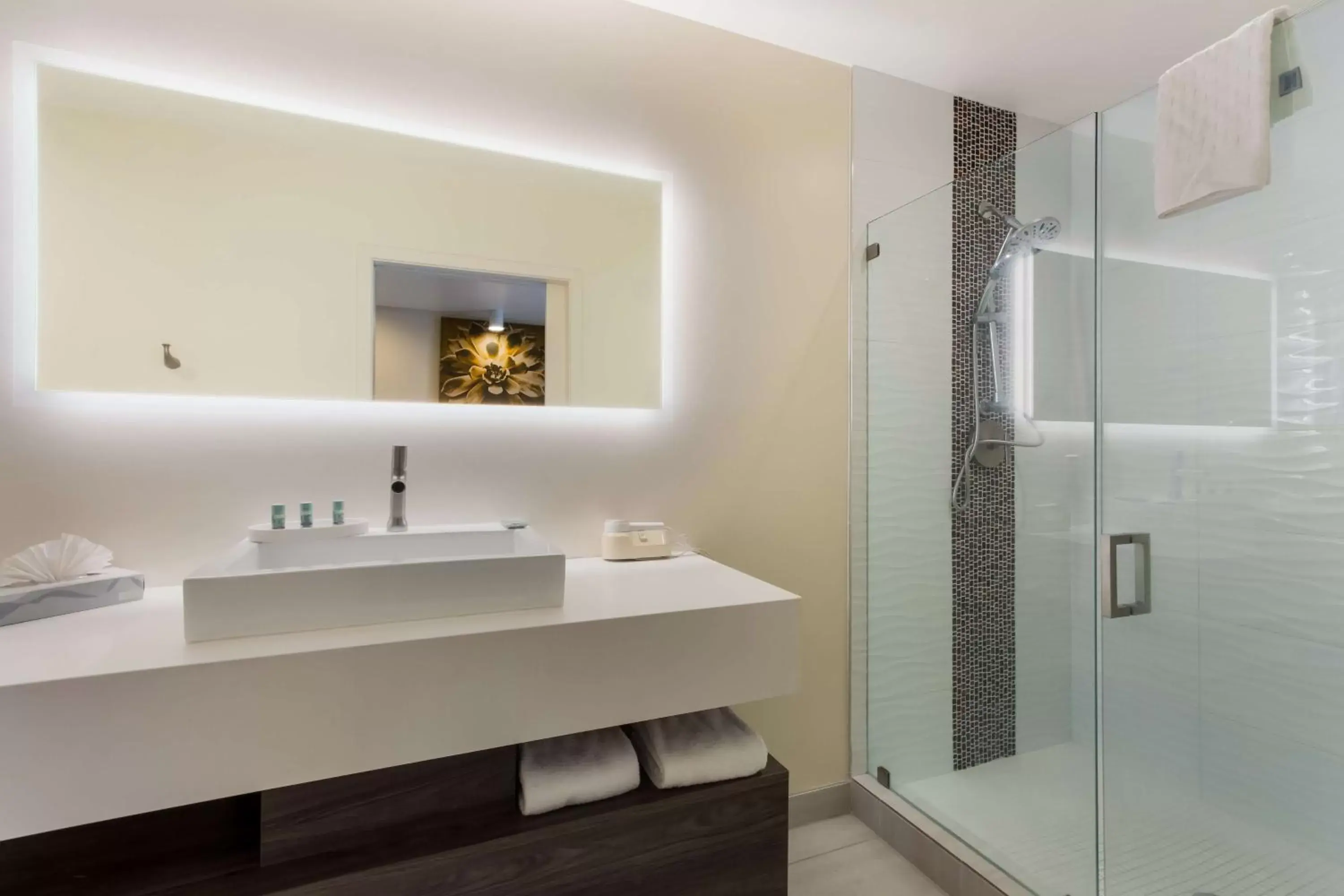 Bathroom in SureStay Plus Hotel by Best Western Tempe University