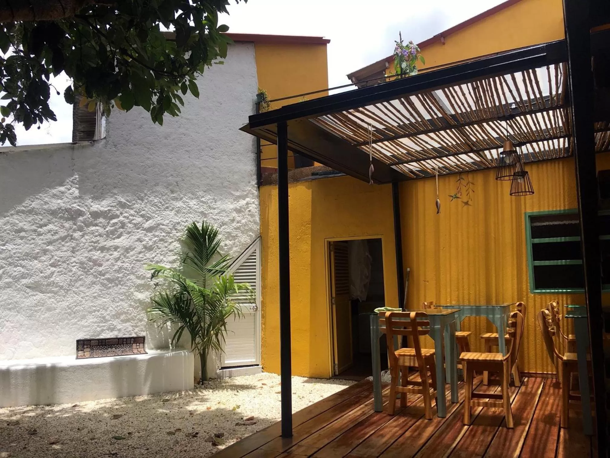 Garden in Hotel La Caracola