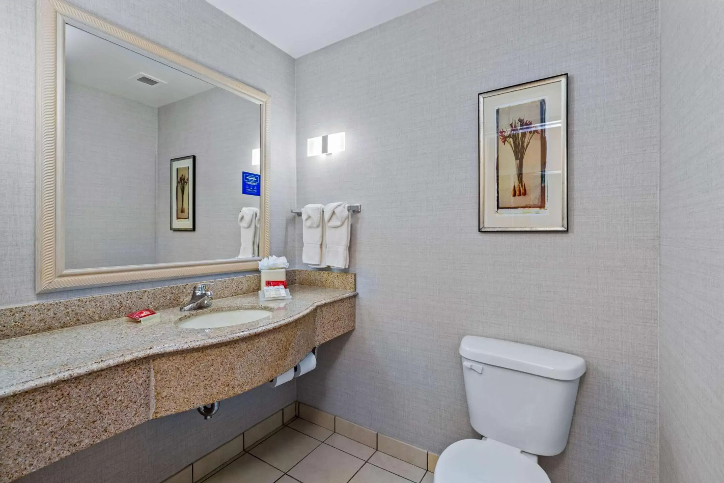 Bathroom in Hilton Garden Inn Starkville
