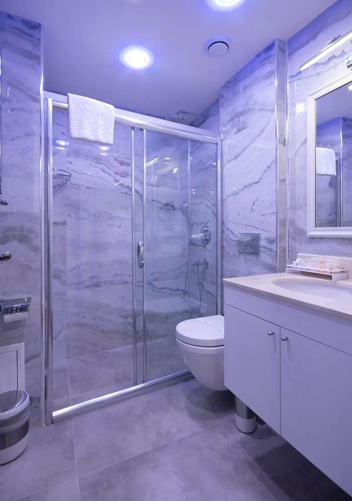 Shower, Bathroom in Antusa Design Hotel & Spa