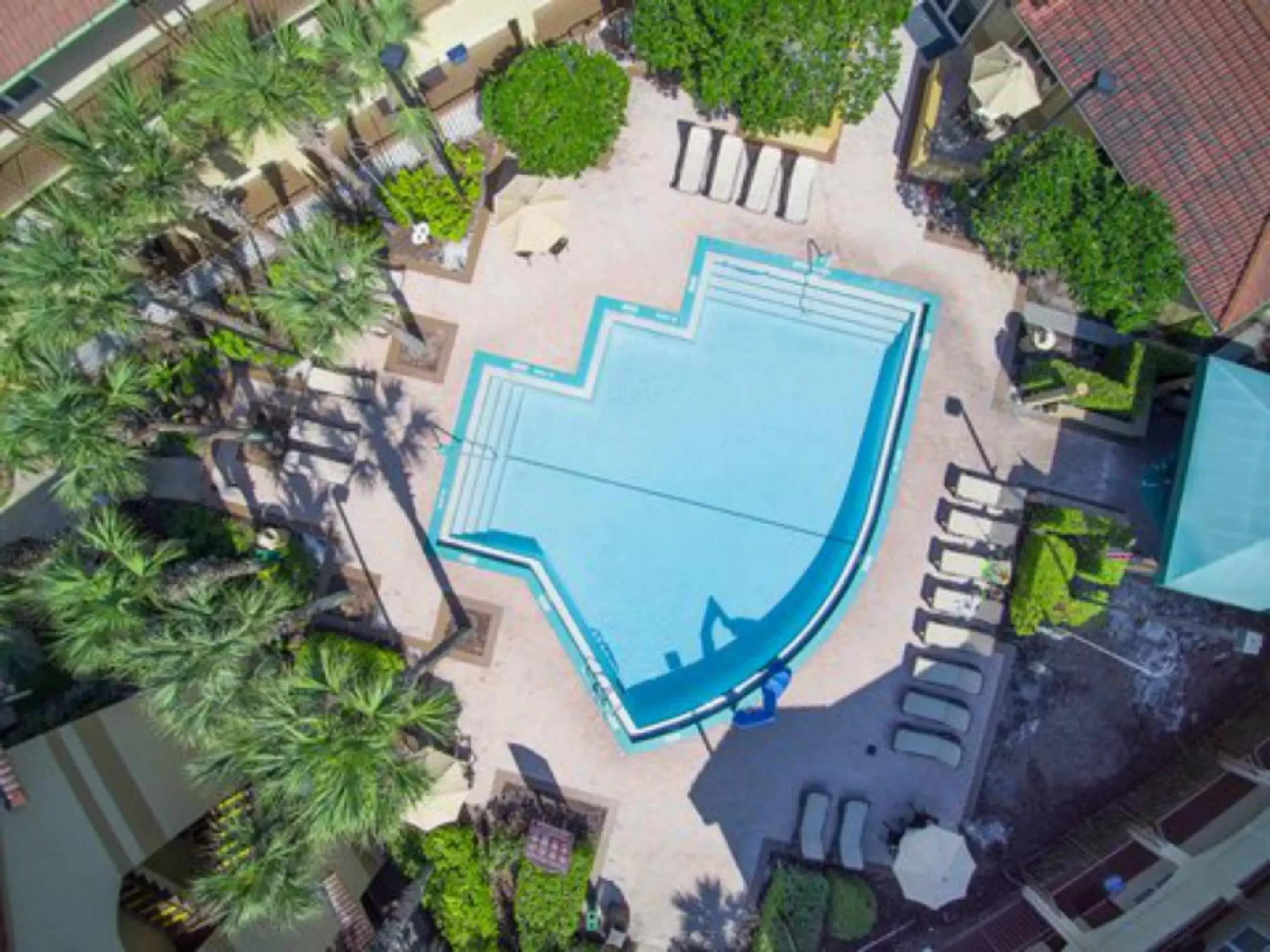Swimming pool, Bird's-eye View in Blue Tree Resort at Lake Buena Vista