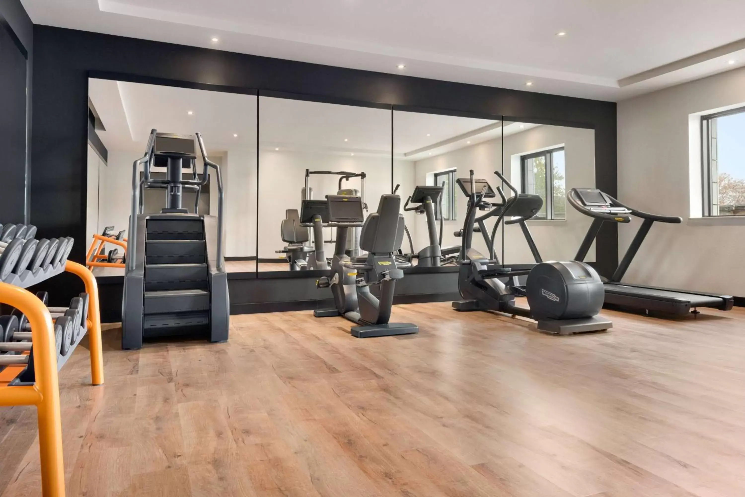 Fitness centre/facilities, Fitness Center/Facilities in Wyndham Grand Tbilisi