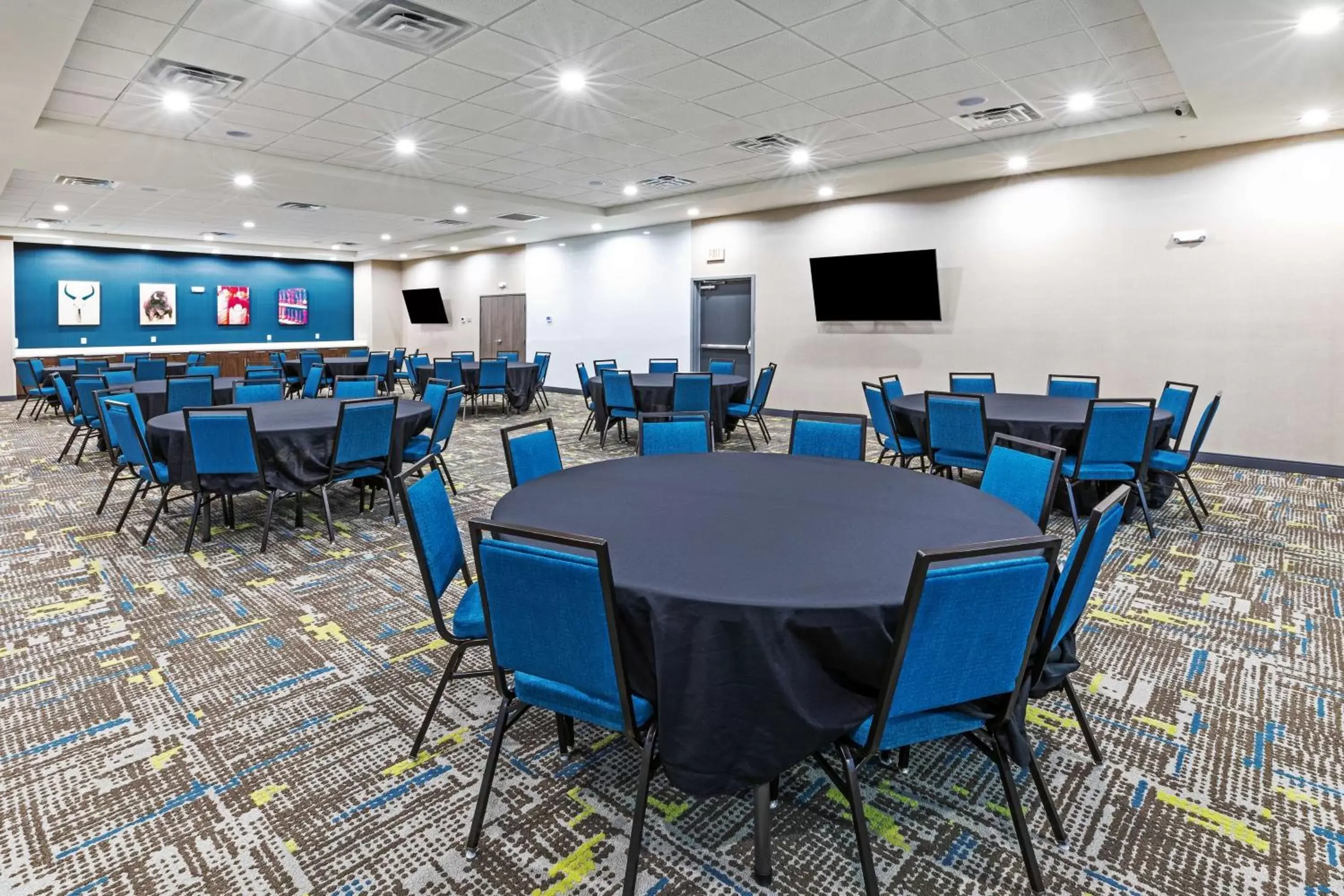 Meeting/conference room in Hampton Inn & Suites Canyon, Tx