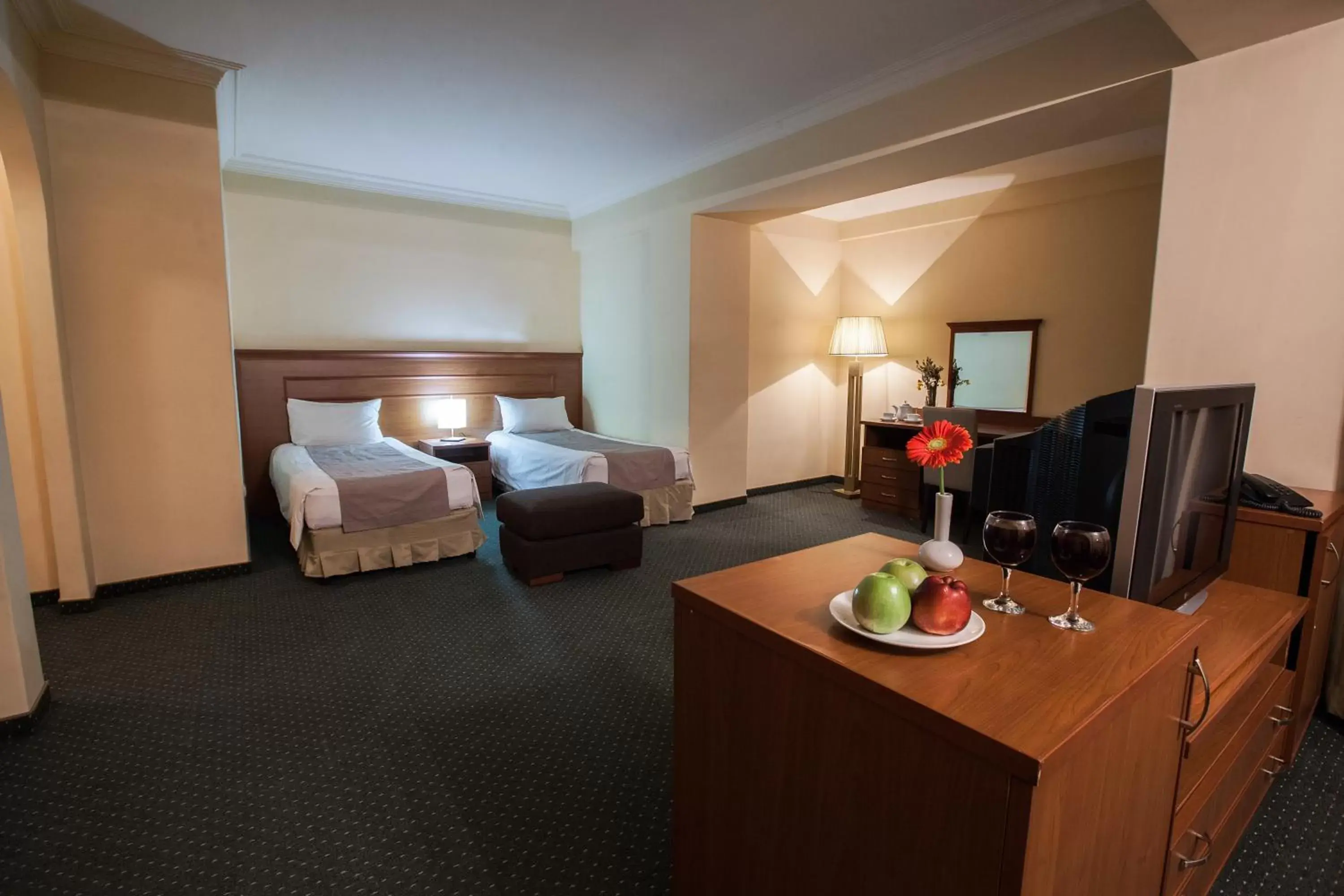 Standard Double or Twin Room in Aviatrans Hotel Standard Double or Twin Room in Aviatrans Hotel