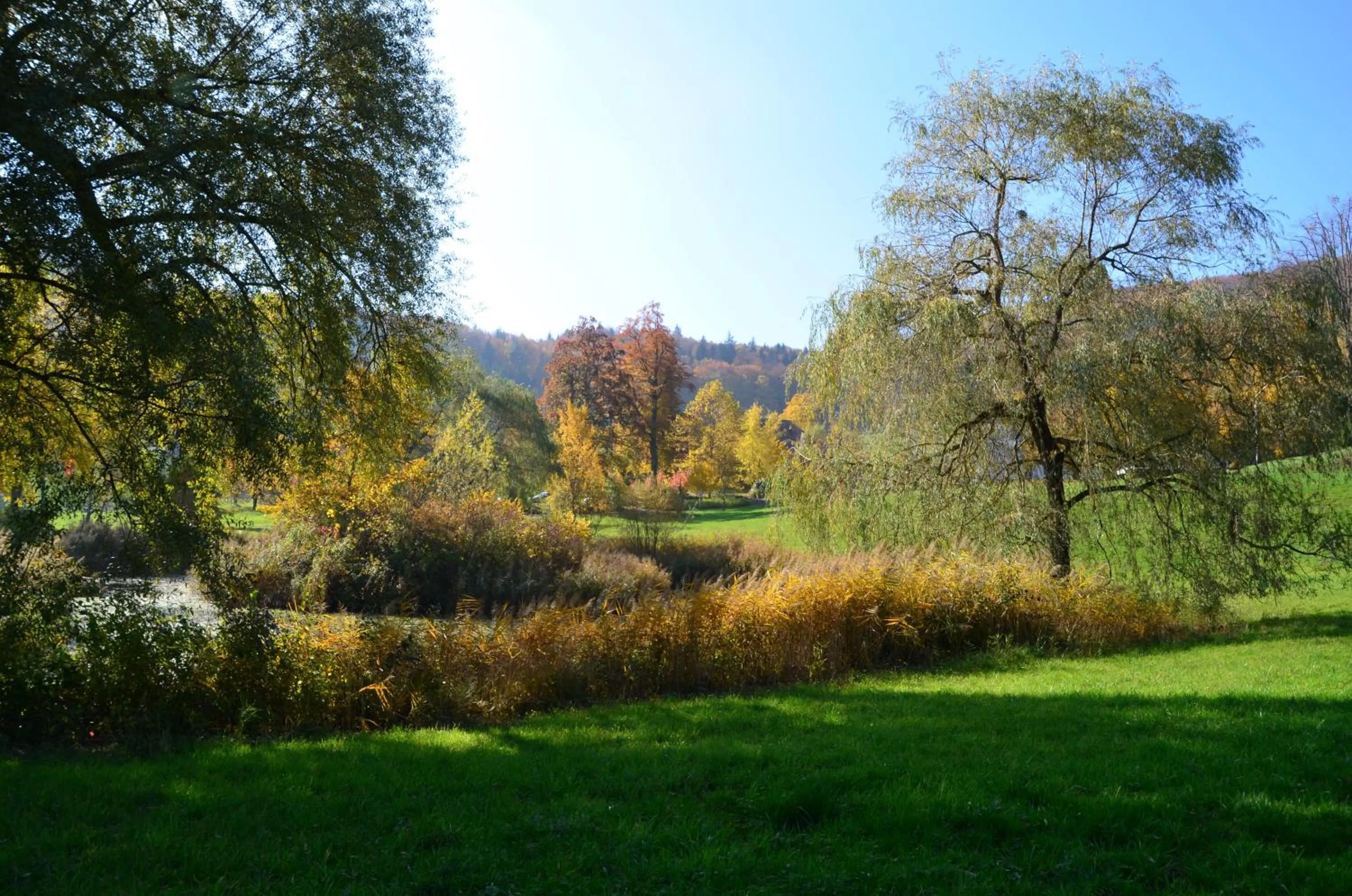 Day in Bad Schauenburg