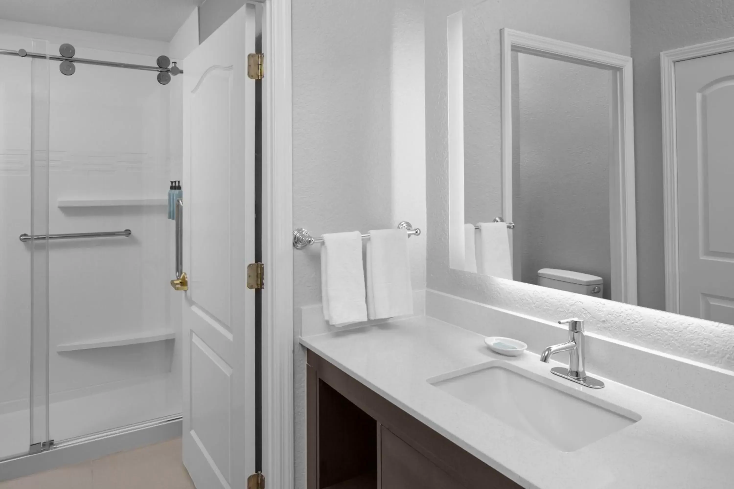 Bathroom in Residence Inn Tampa Oldsmar