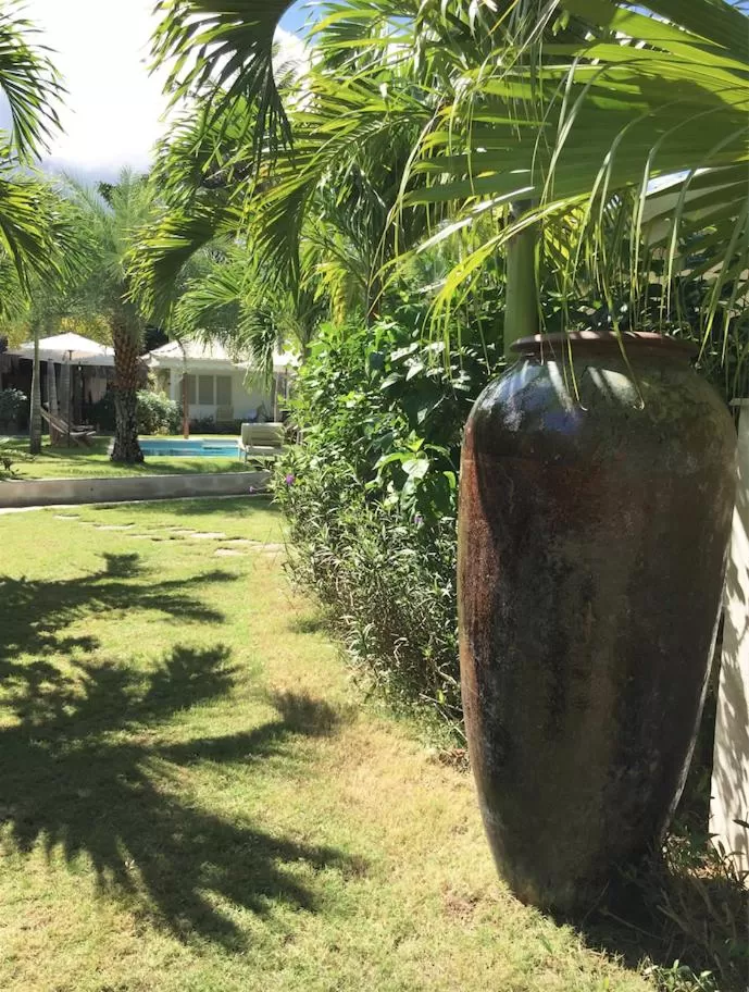 Natural landscape in Mahona Boutique Hotel