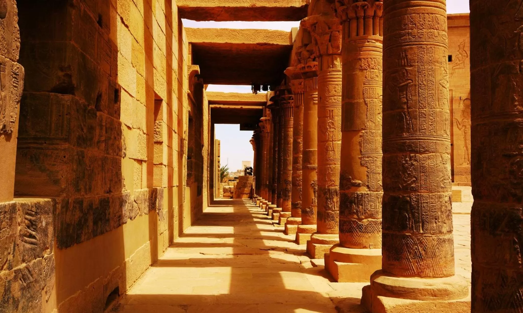 Area and facilities in InterContinental Aqaba by IHG